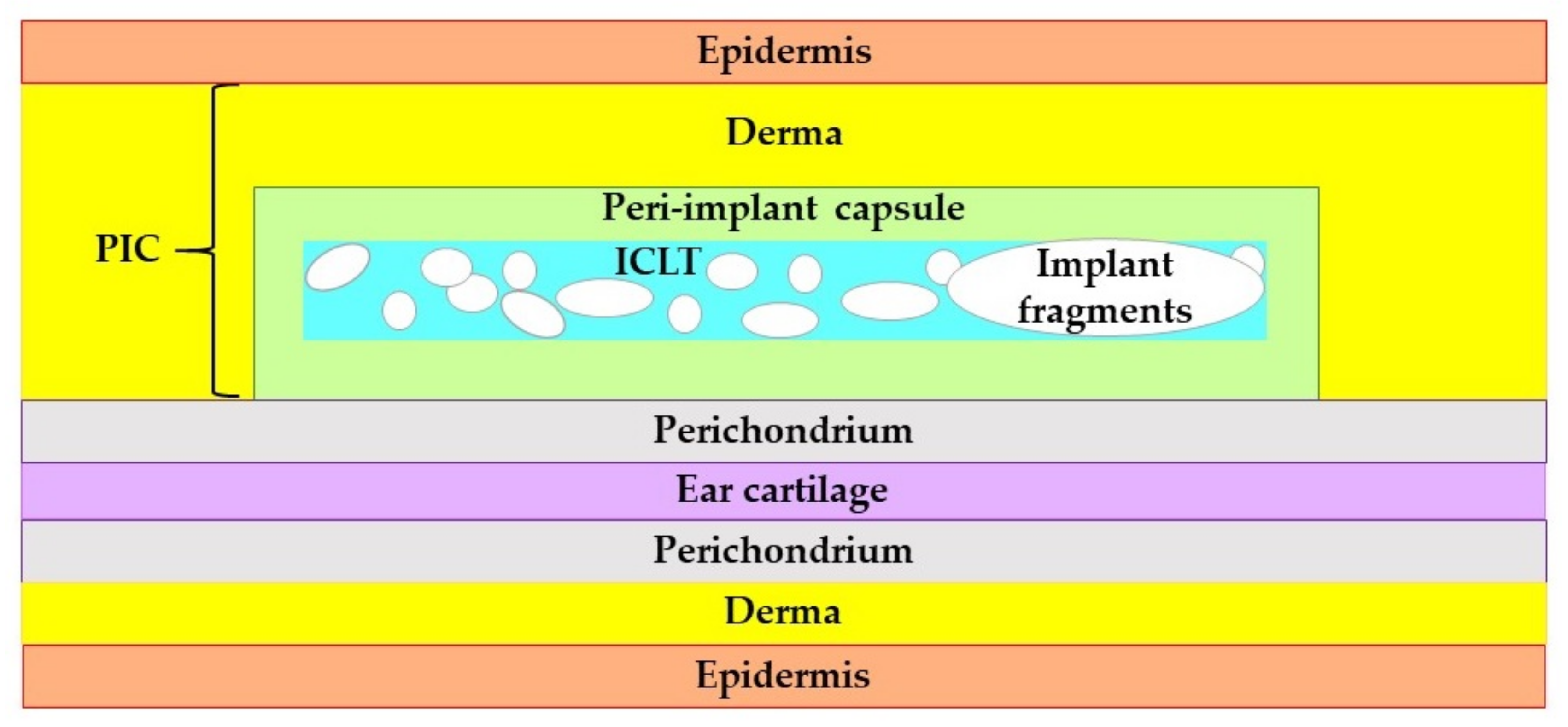 Biomedicines 09 00853 g0a3