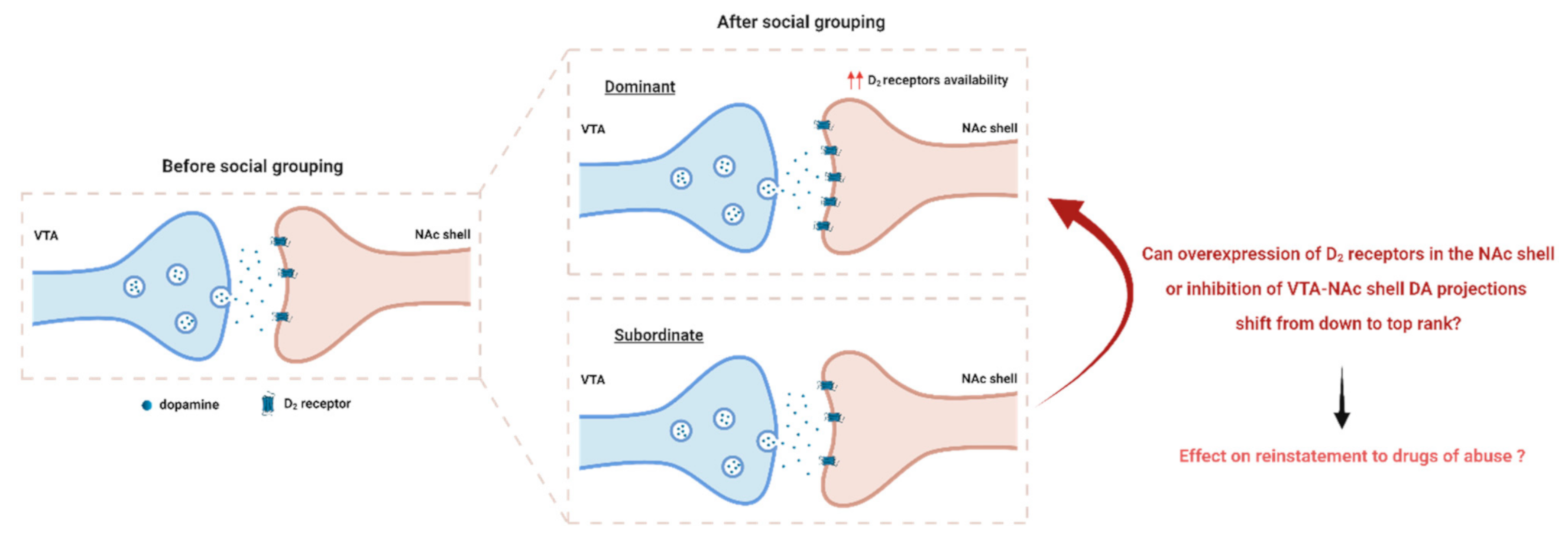 Biomedicines 09 00877 g002