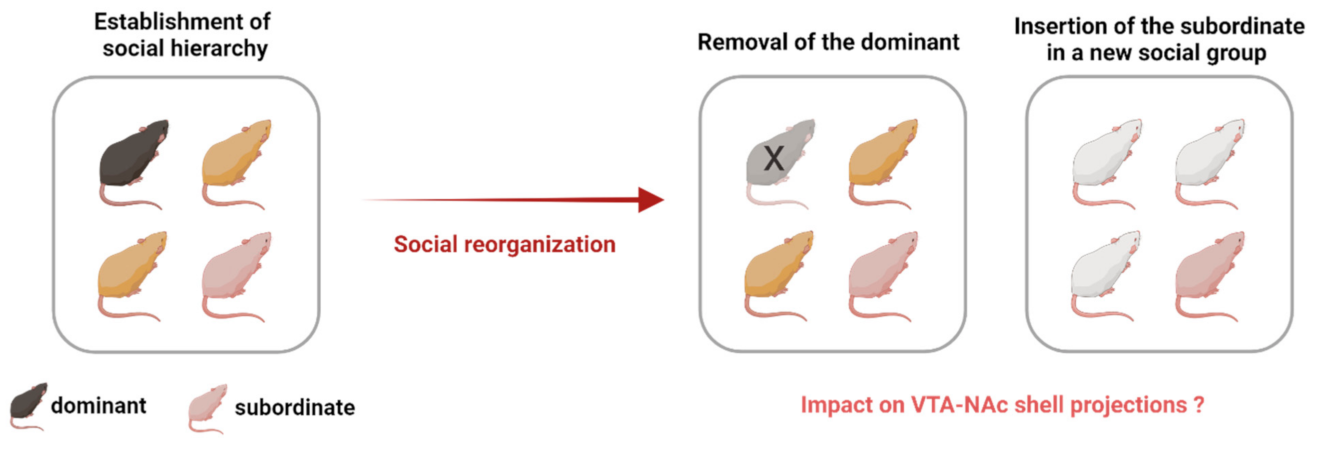 Biomedicines 09 00877 g003