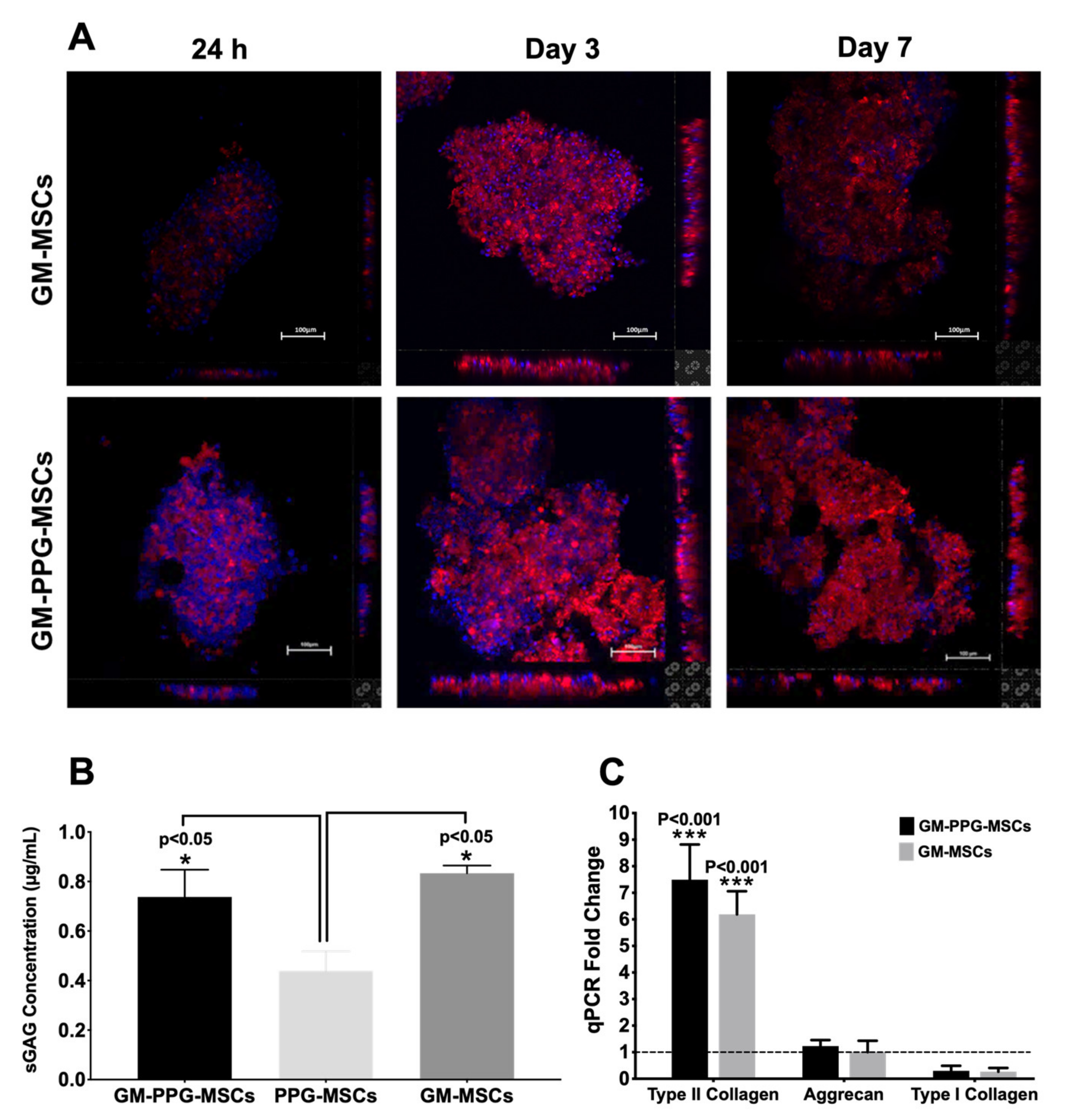 Biomedicines 09 00880 g005 Biomedicines 09 00880 g005