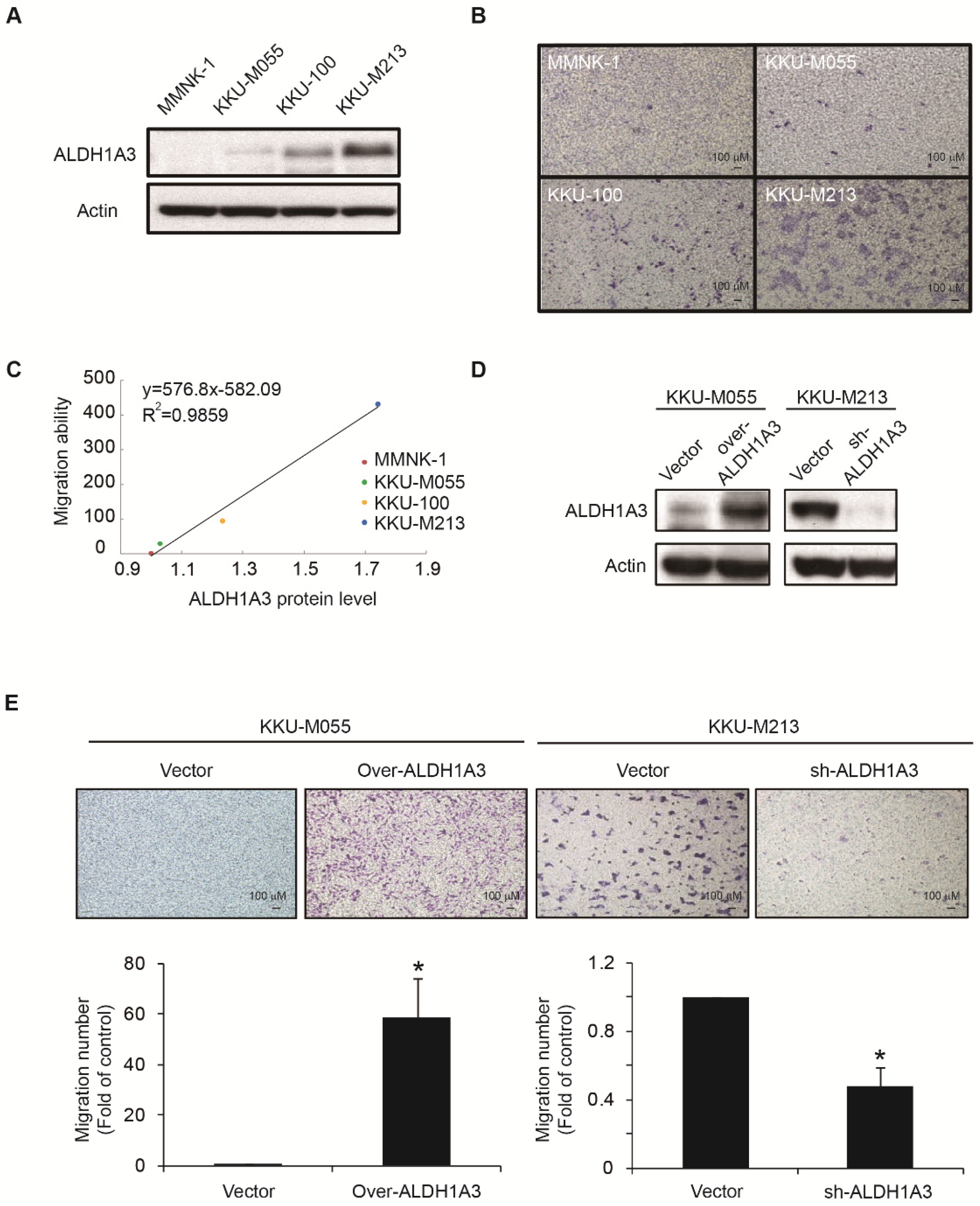 Biomedicines 09 00885 g001