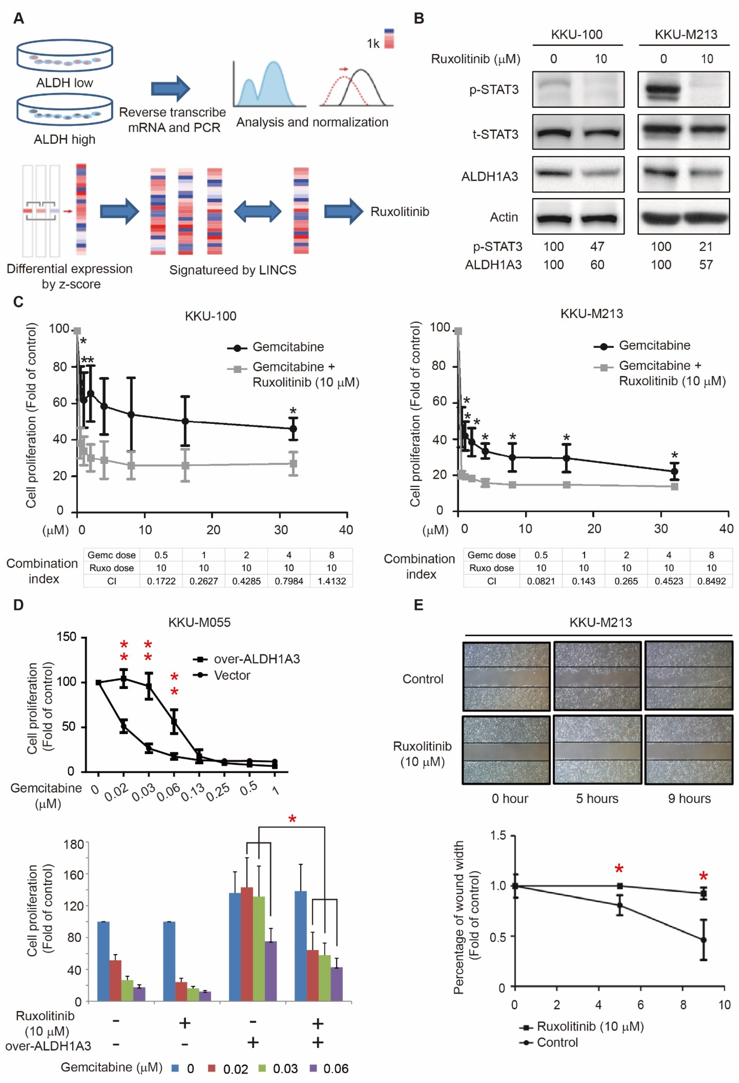 Biomedicines 09 00885 g002