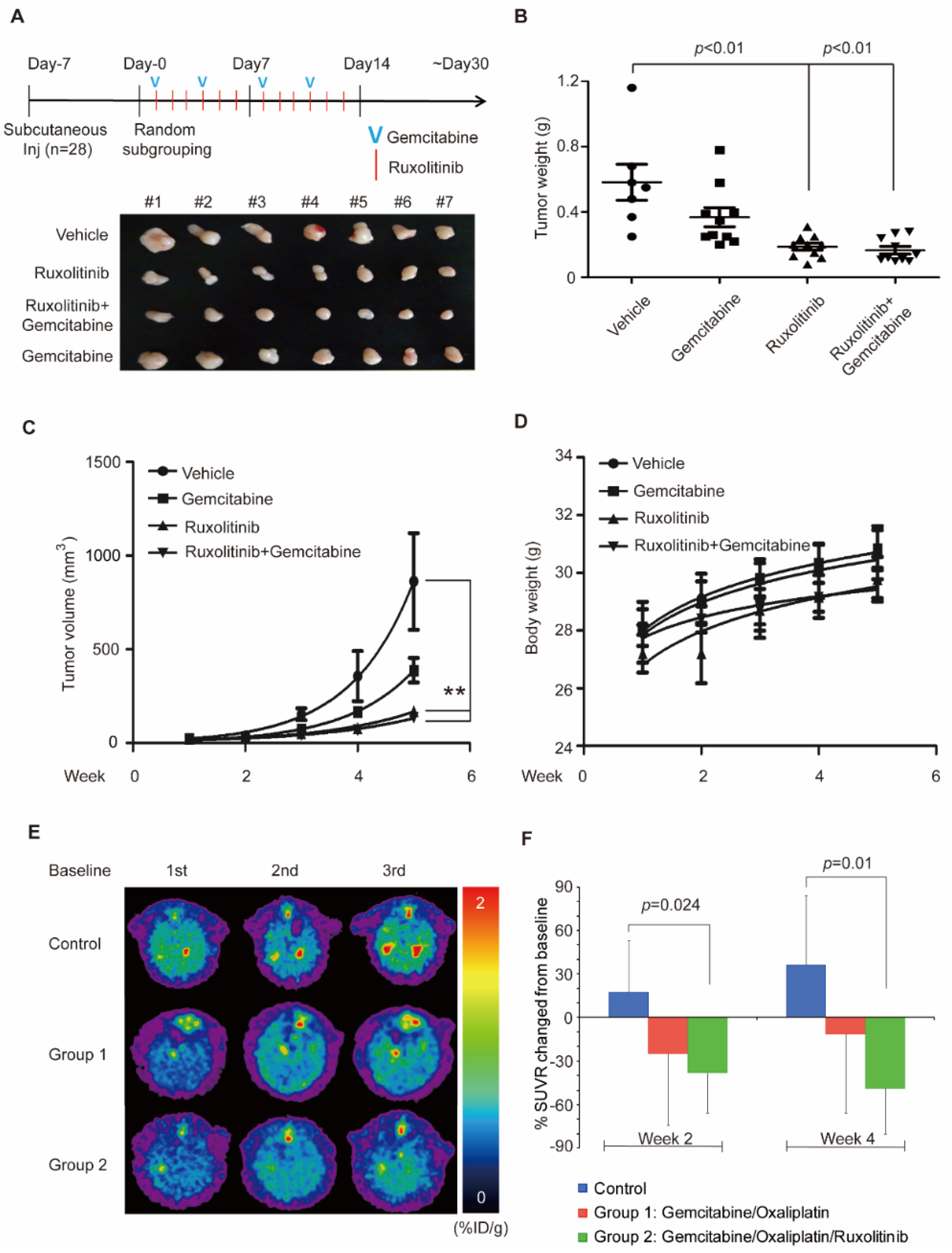 Biomedicines 09 00885 g004
