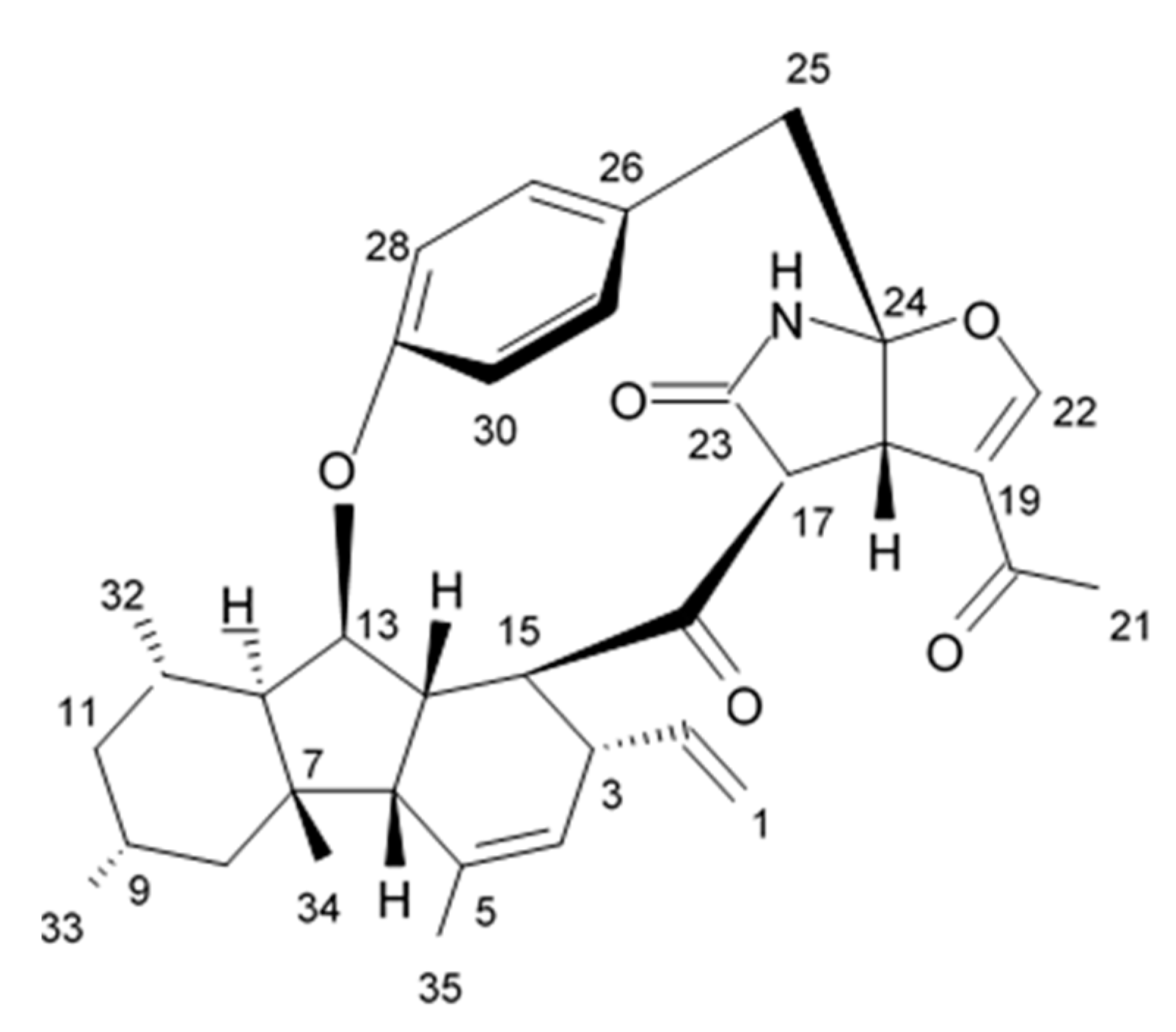 Biomedicines 09 00886 g006 Biomedicines 09 00886 g006
