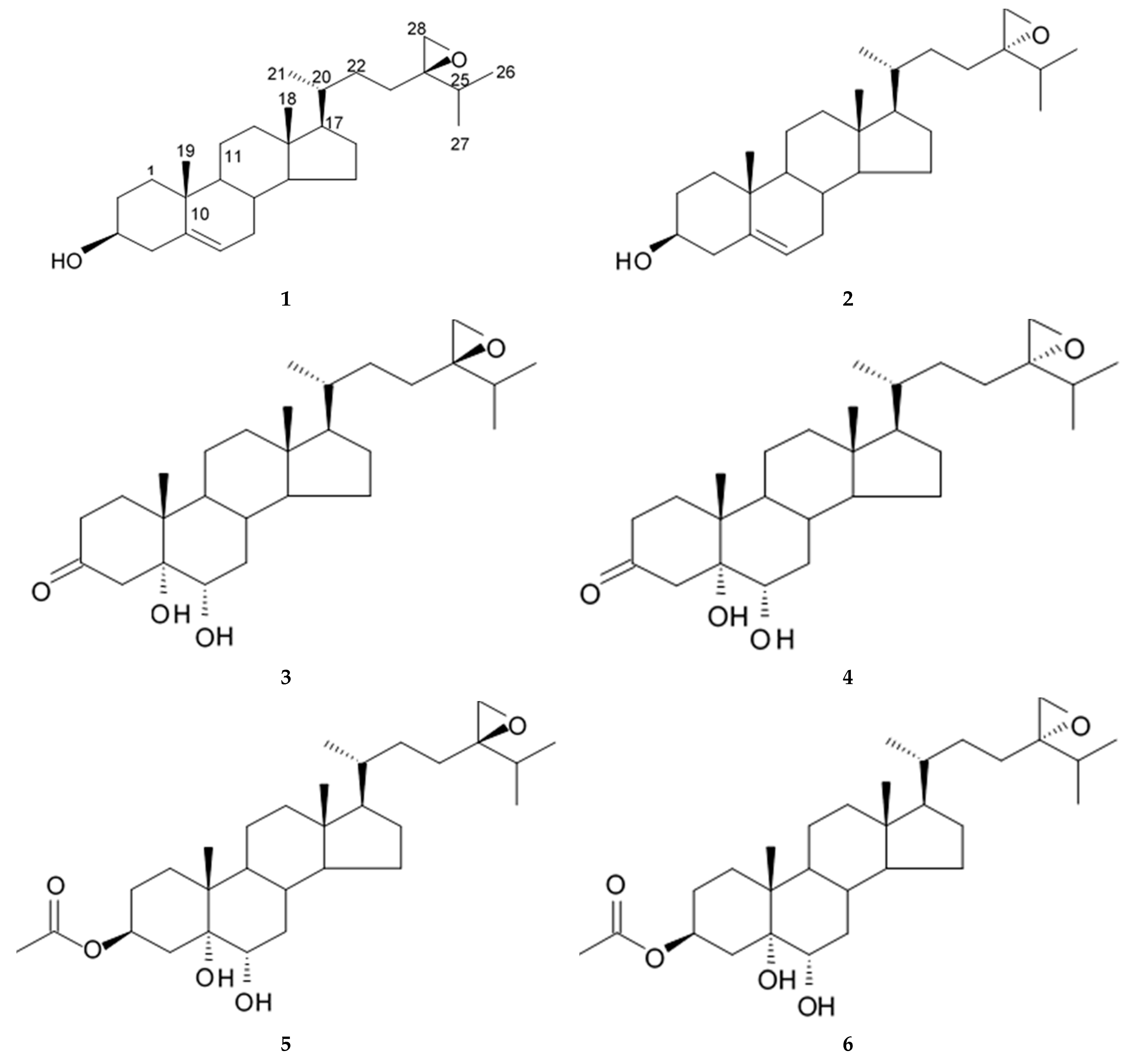Biomedicines 09 00886 g015 Biomedicines 09 00886 g015