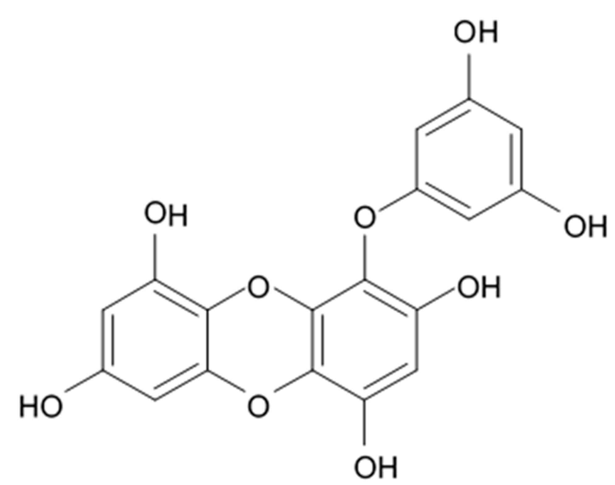 Biomedicines 09 00886 g020 Biomedicines 09 00886 g020