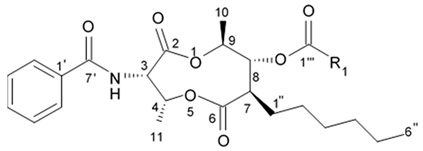 Biomedicines 09 00886 i029 Biomedicines 09 00886 i029