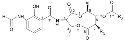 Biomedicines 09 00886 i030 Biomedicines 09 00886 i030