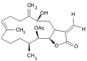 Biomedicines 09 00886 i057 Biomedicines 09 00886 i057