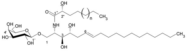Biomedicines 09 00886 i072 Biomedicines 09 00886 i072