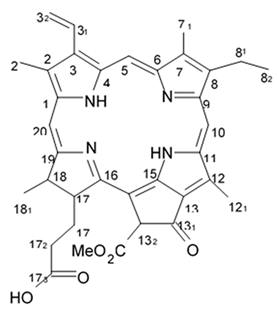 Biomedicines 09 00886 i077 Biomedicines 09 00886 i077