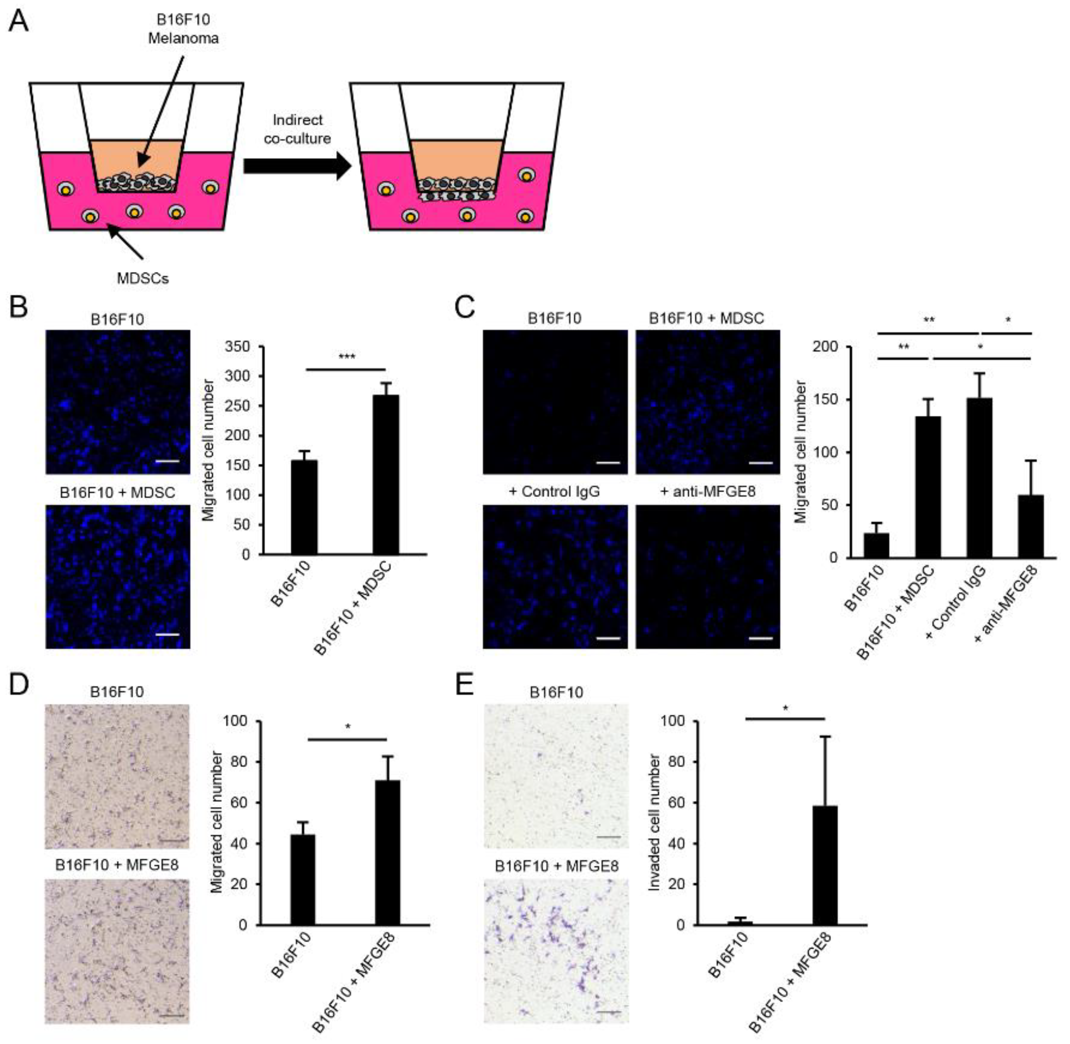 Biomedicines 09 00896 g005