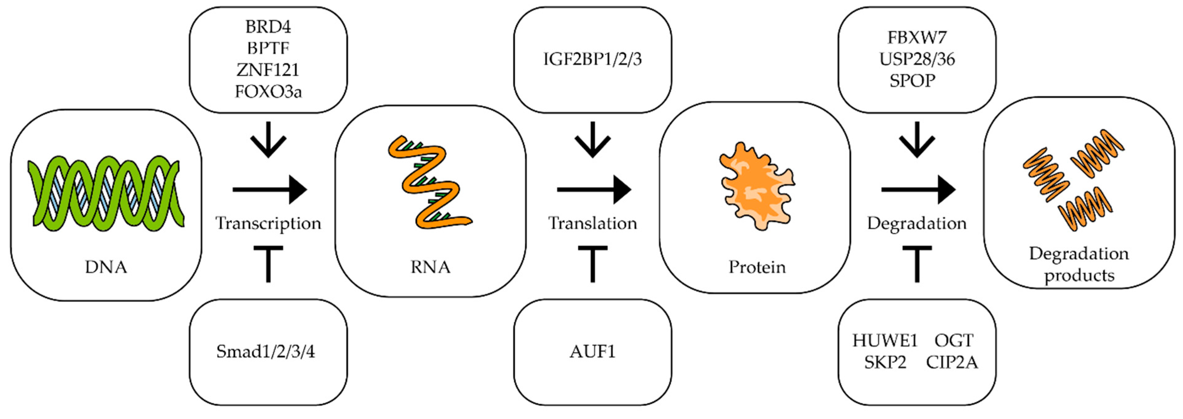 Biomedicines 09 00921 g002