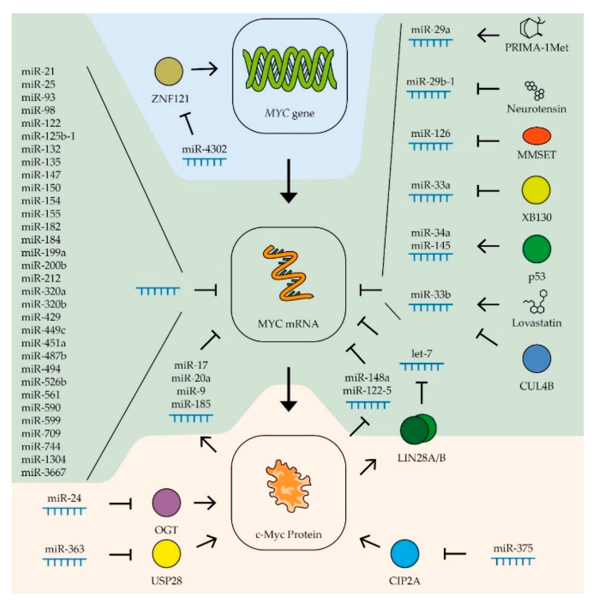 Biomedicines 09 00921 g003
