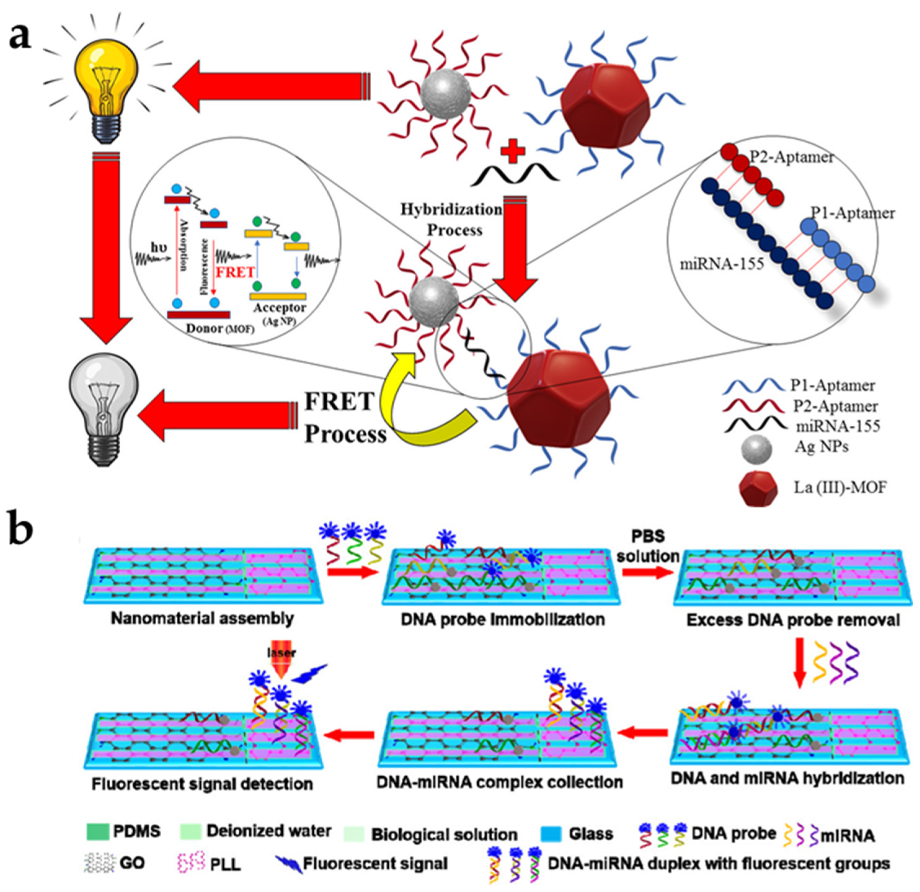 Biomedicines 09 00928 g003