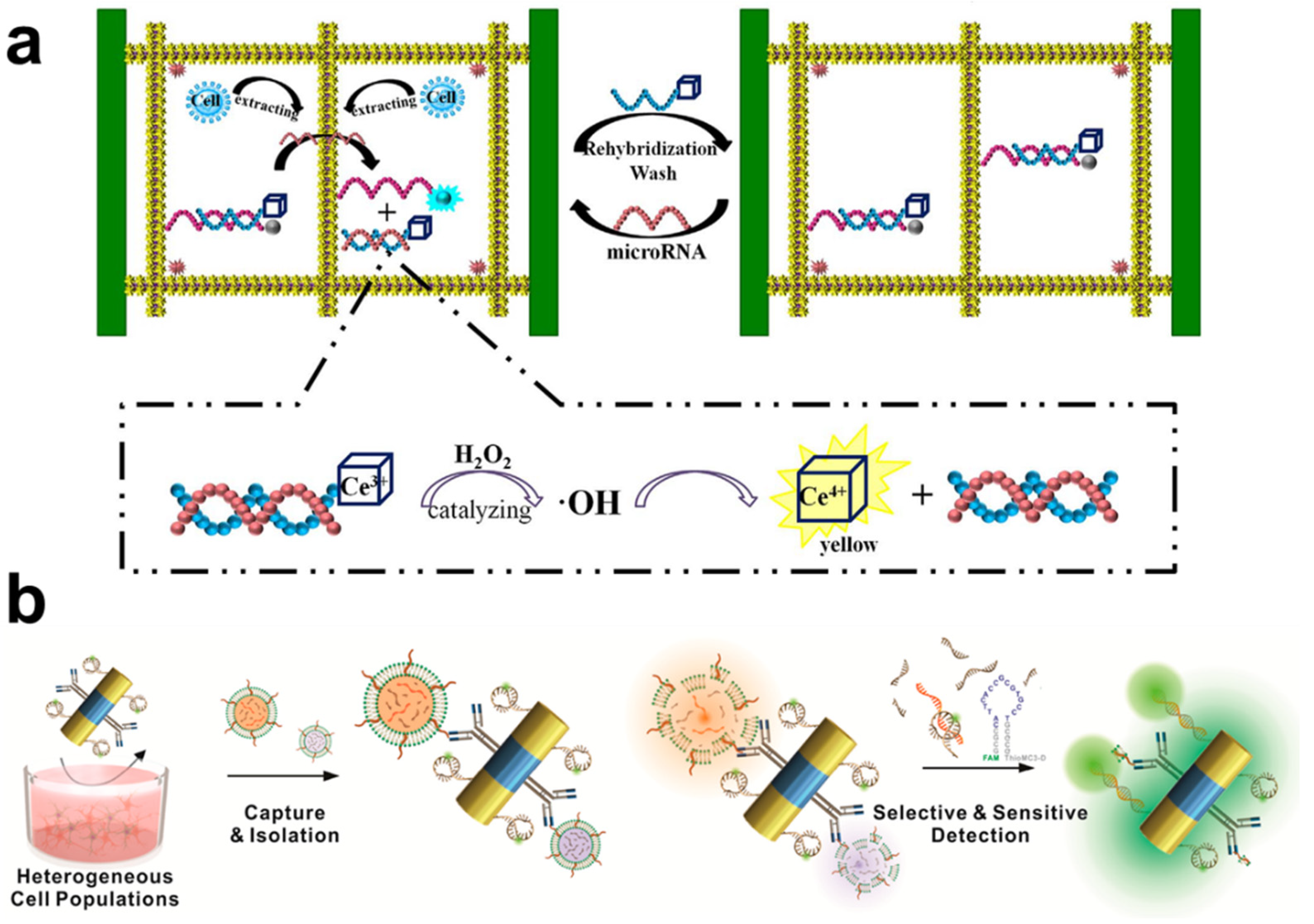 Biomedicines 09 00928 g005