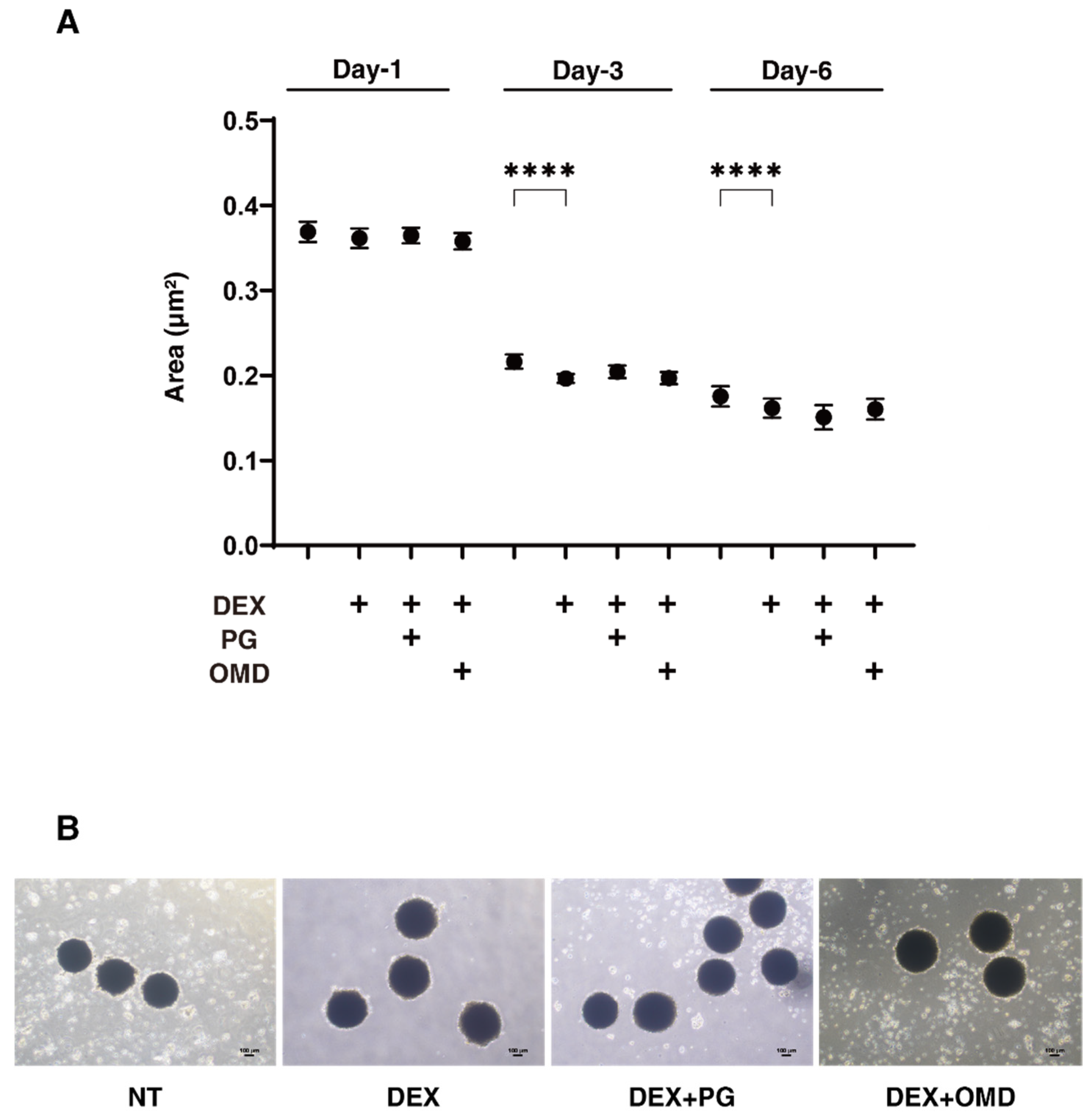 Biomedicines 09 00930 g002