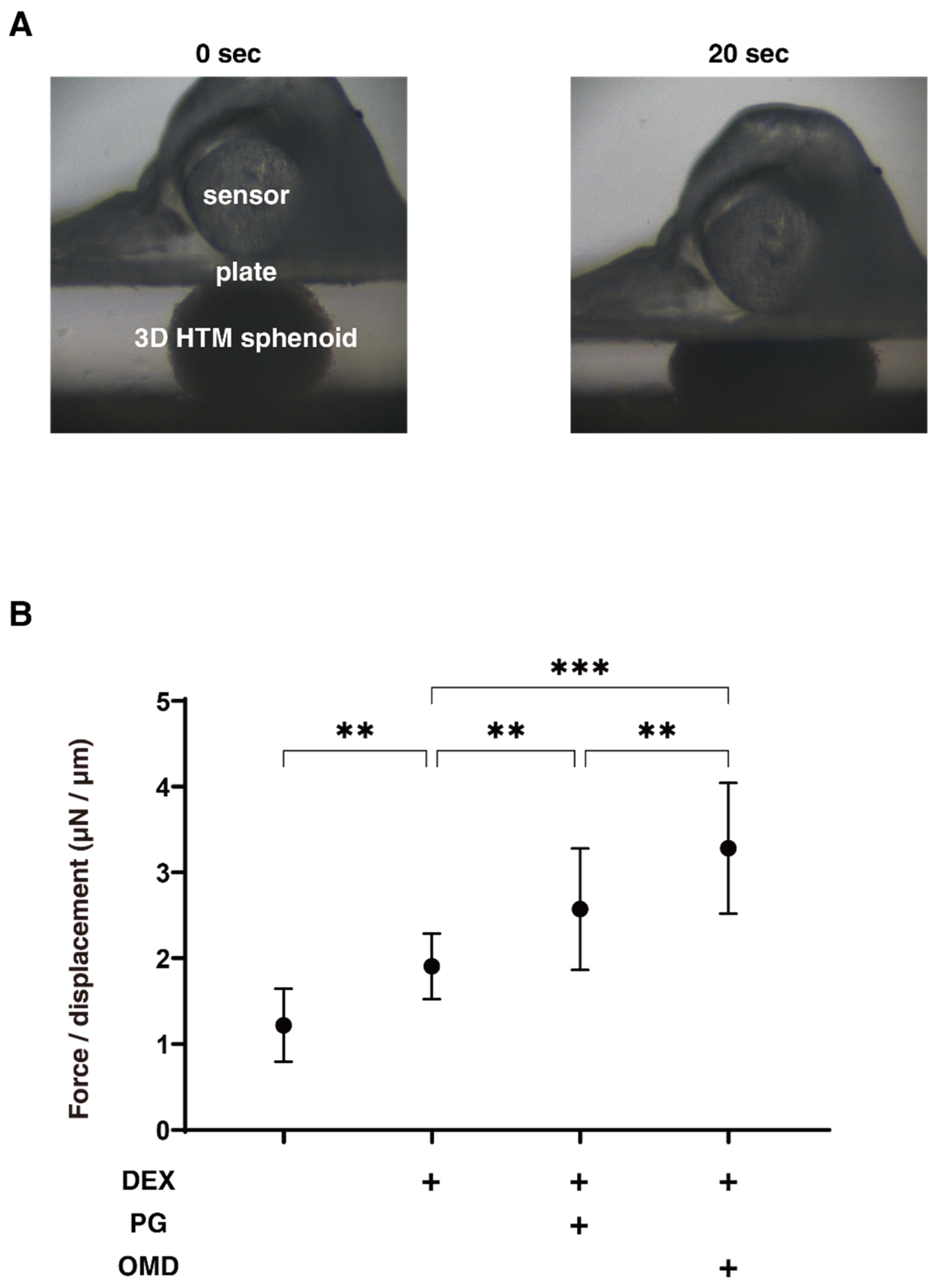 Biomedicines 09 00930 g003