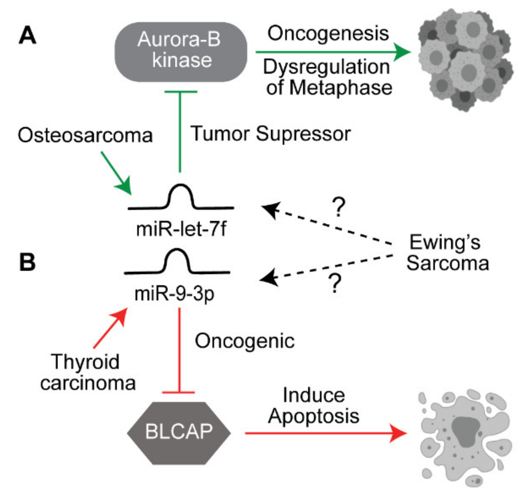 Biomedicines 09 00933 g002 Biomedicines 09 00933 g002