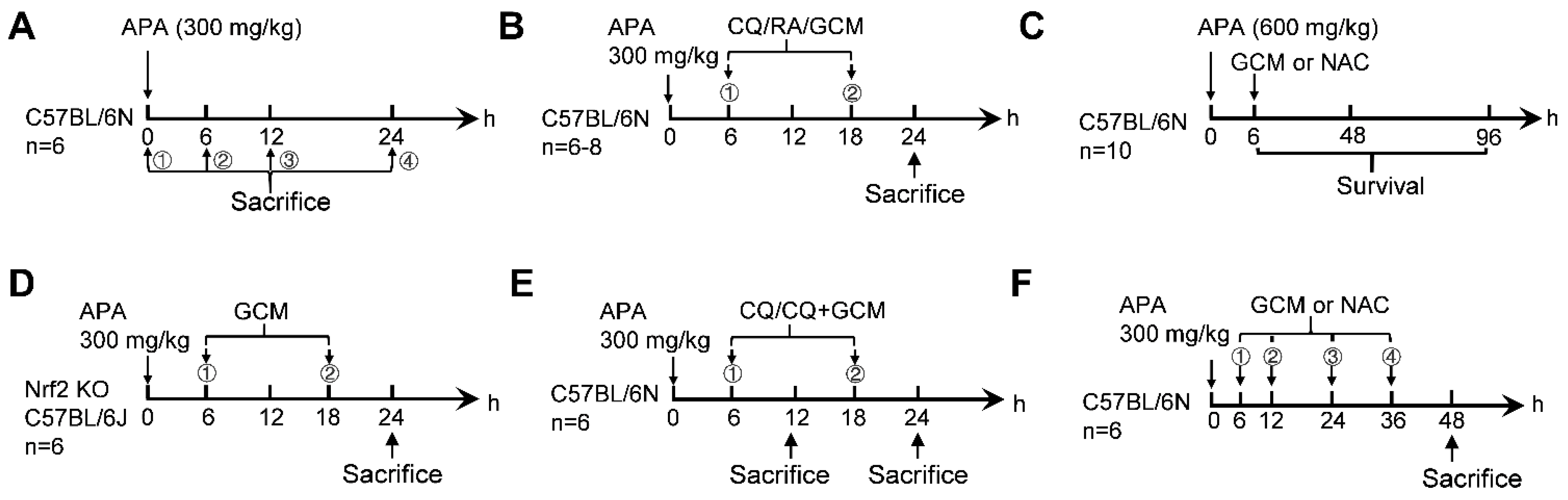 Biomedicines 09 00939 g001