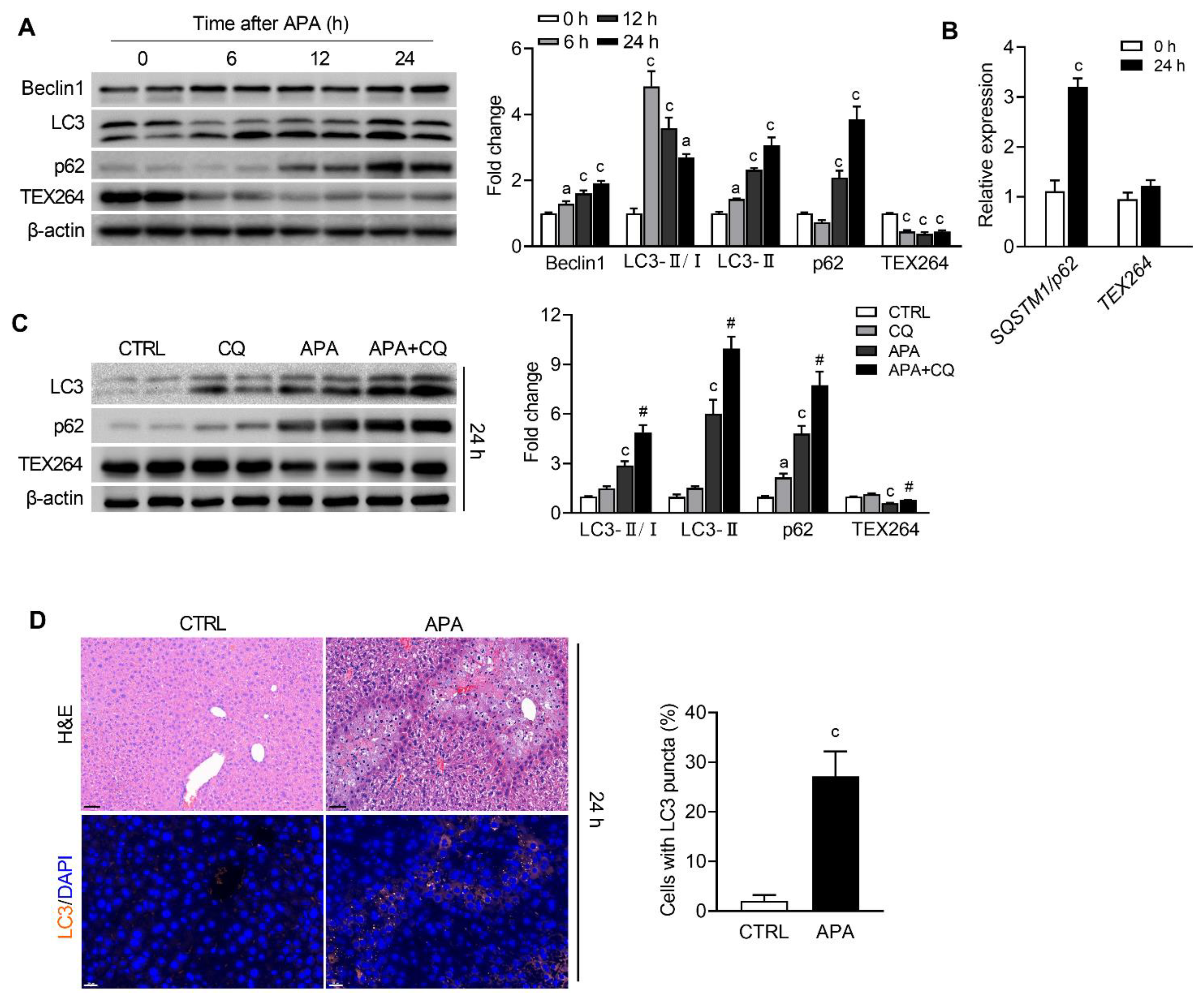 Biomedicines 09 00939 g003