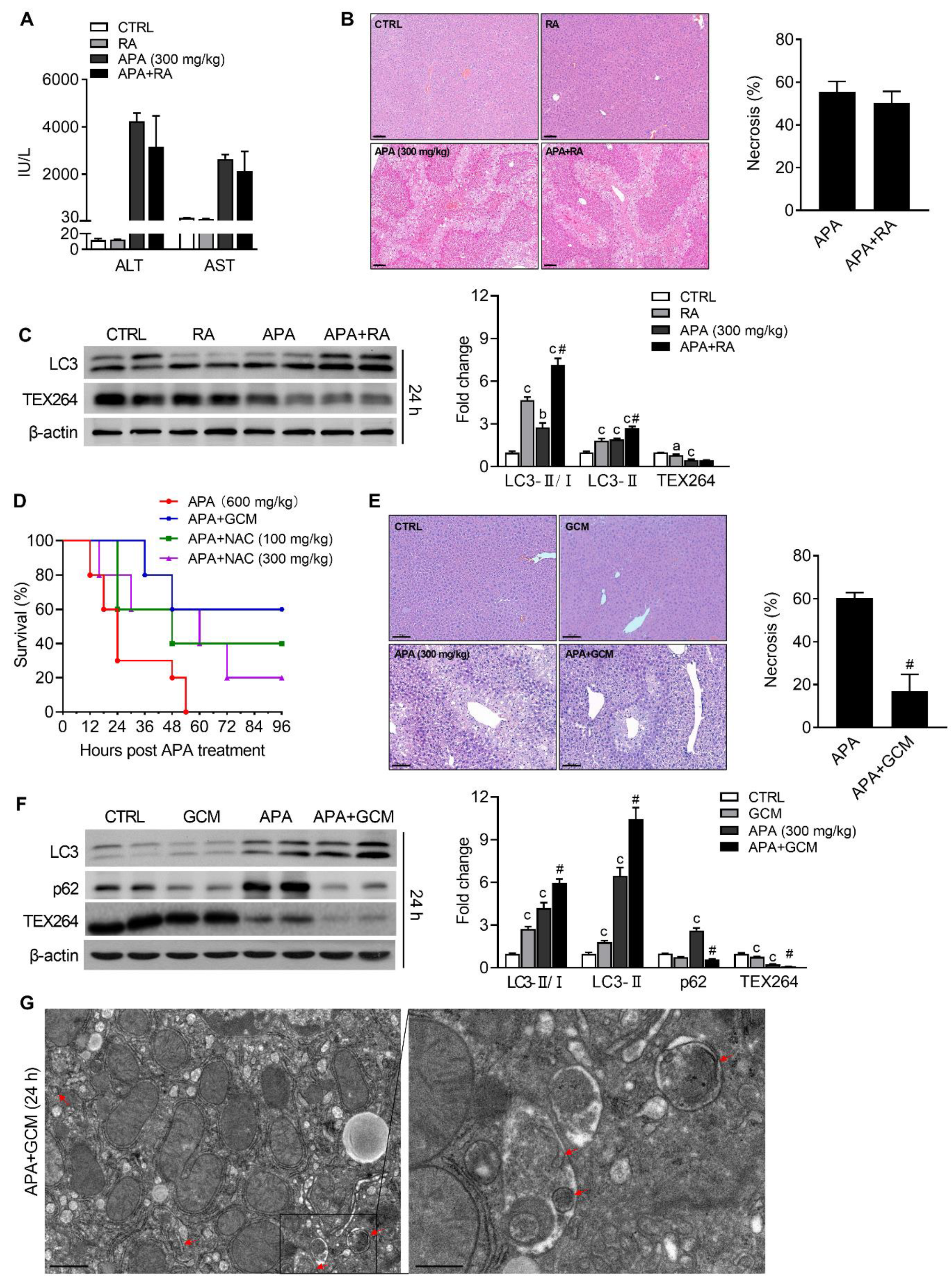 Biomedicines 09 00939 g004