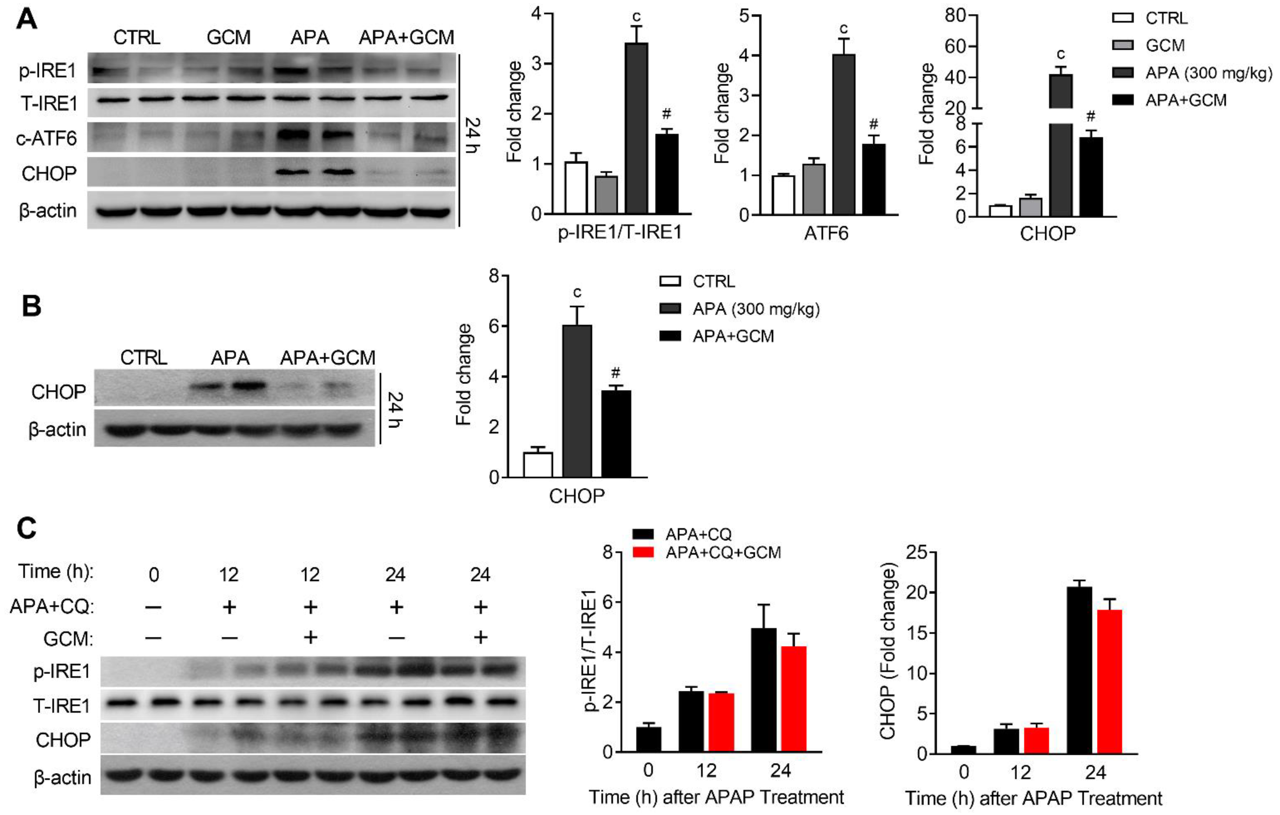 Biomedicines 09 00939 g005