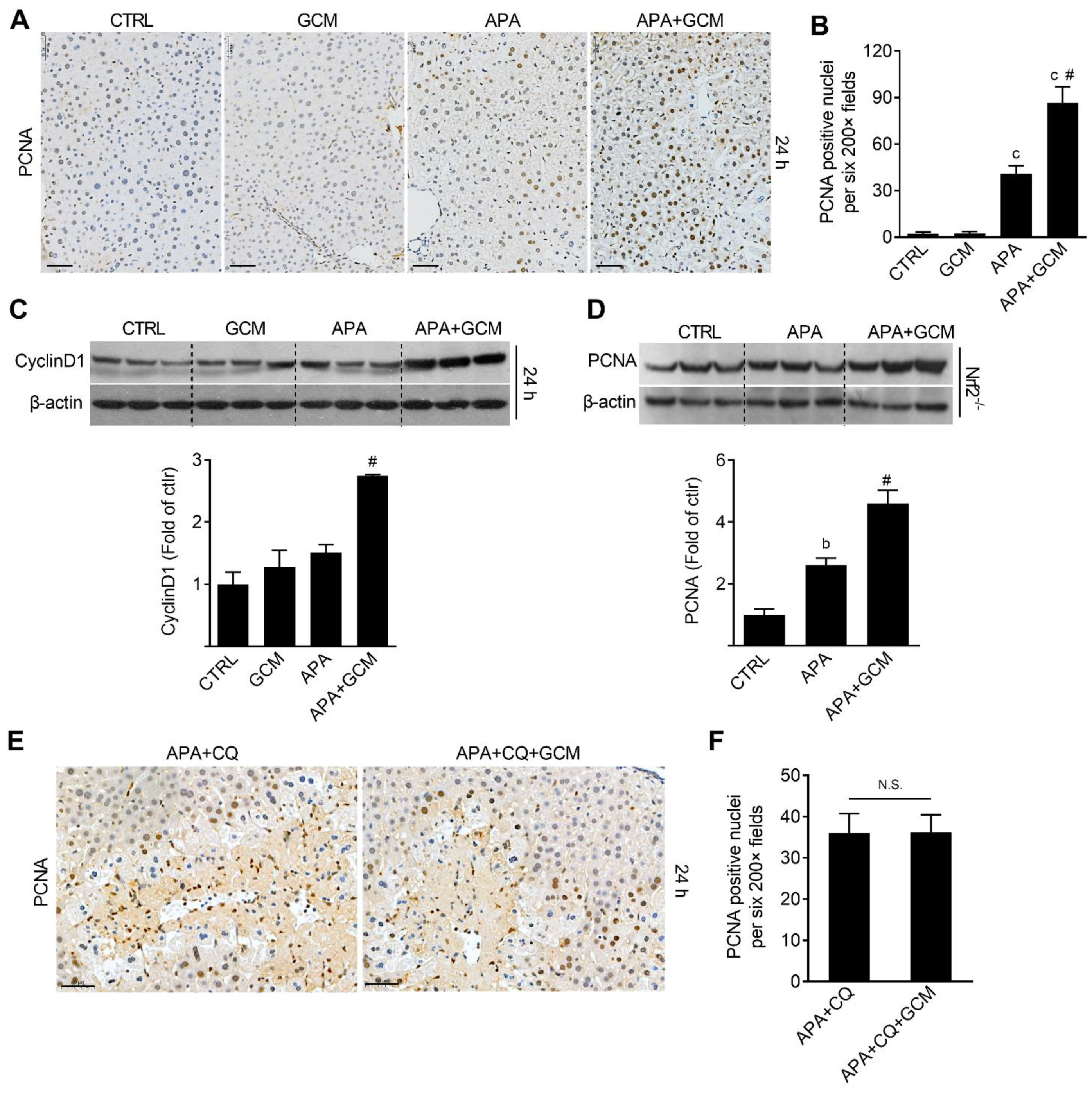 Biomedicines 09 00939 g006