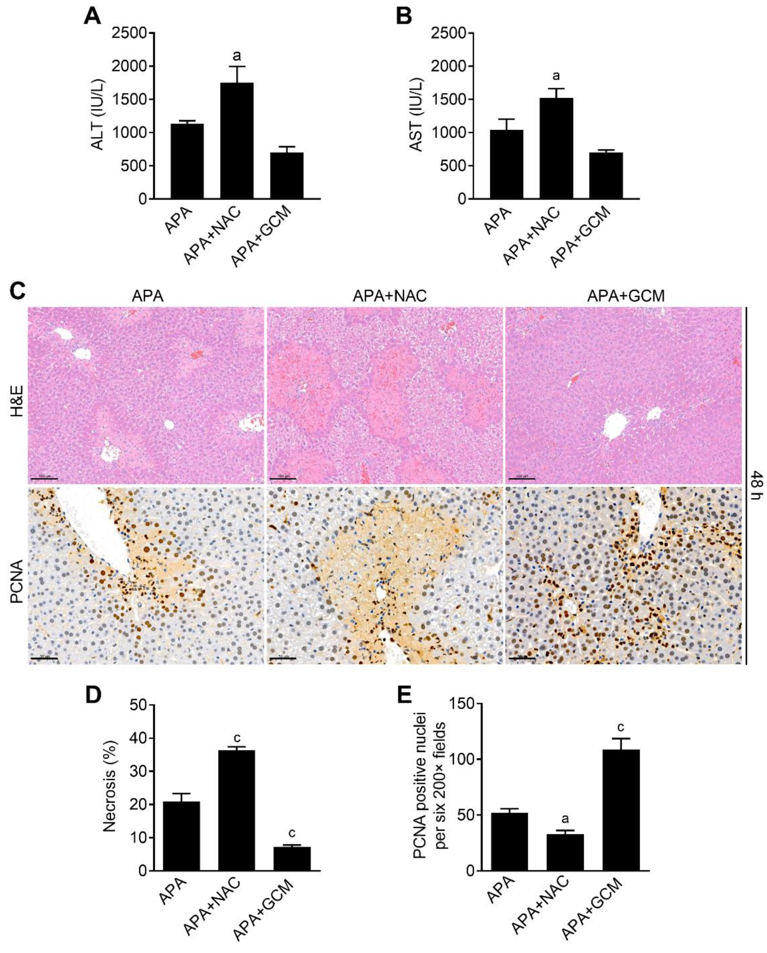 Biomedicines 09 00939 g007