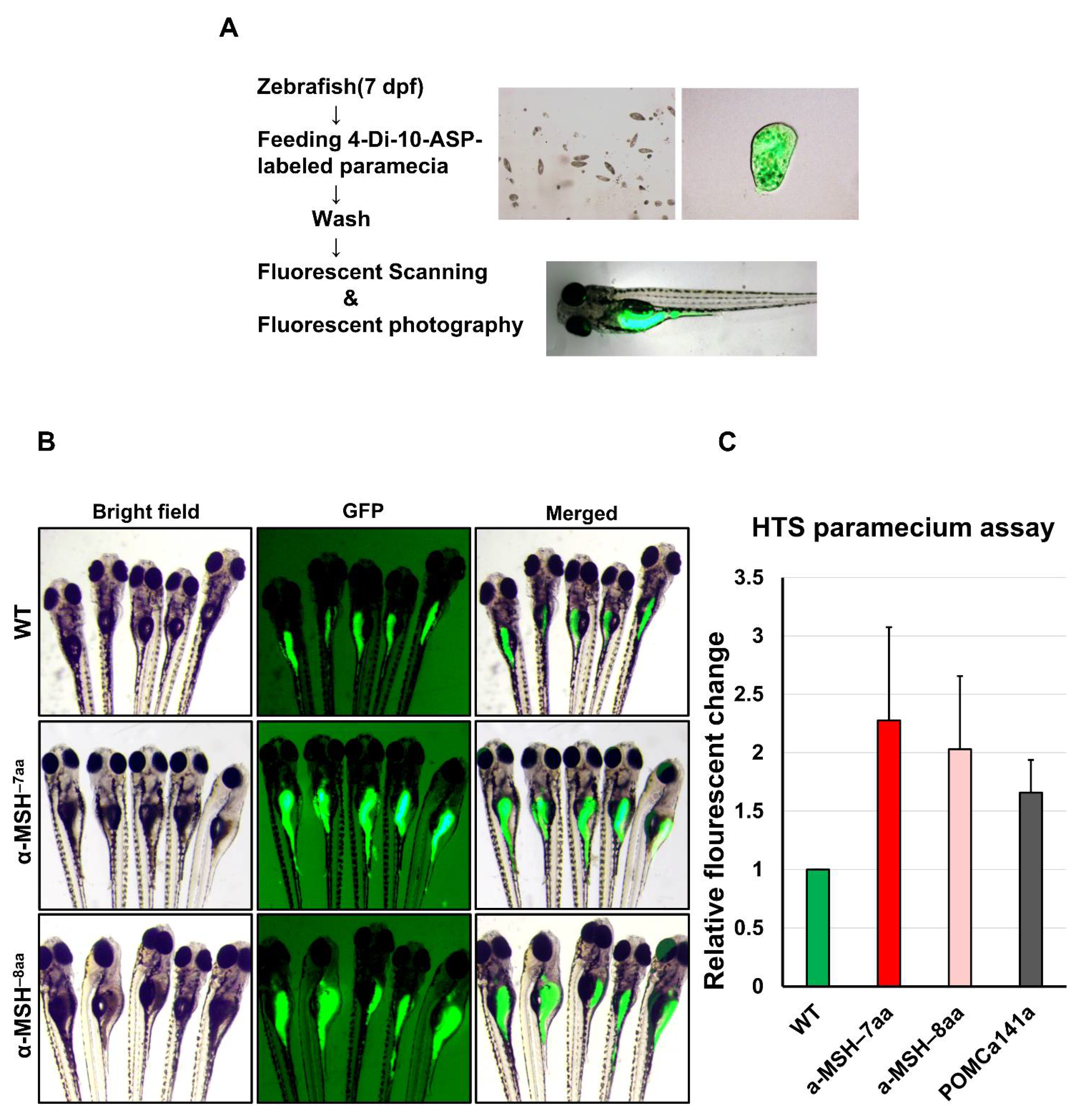Biomedicines 09 00941 g002 Biomedicines 09 00941 g002