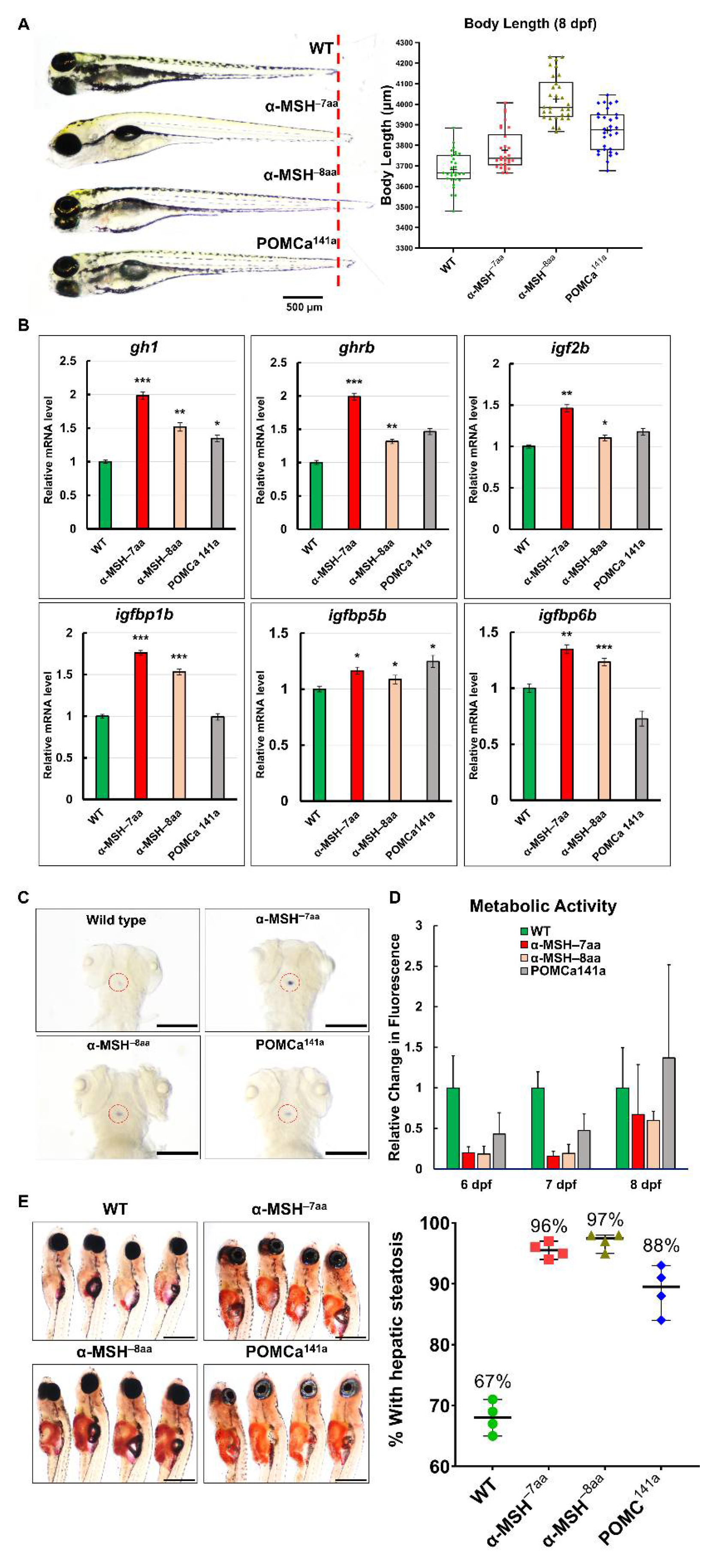 Biomedicines 09 00941 g003 Biomedicines 09 00941 g003