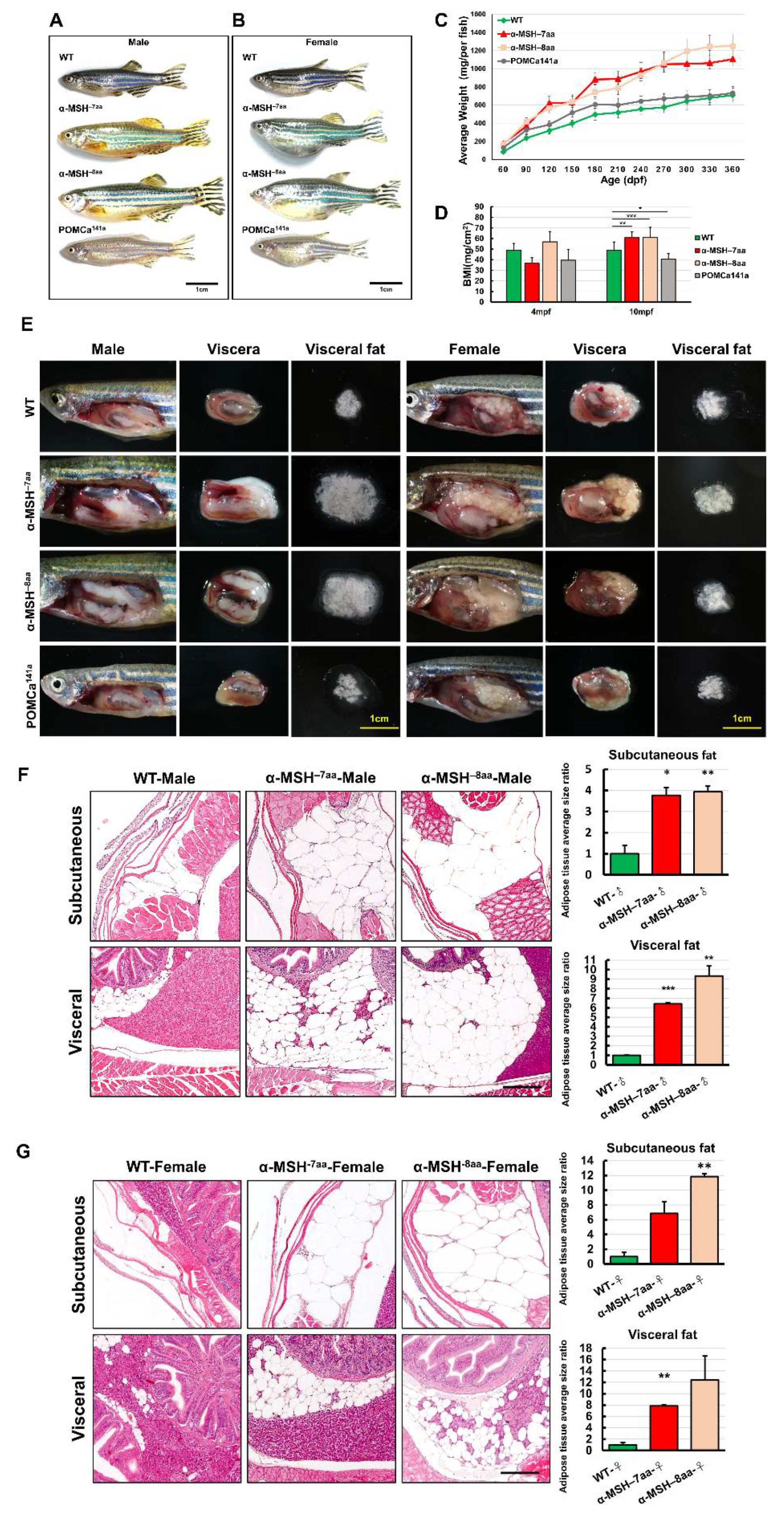 Biomedicines 09 00941 g004 Biomedicines 09 00941 g004