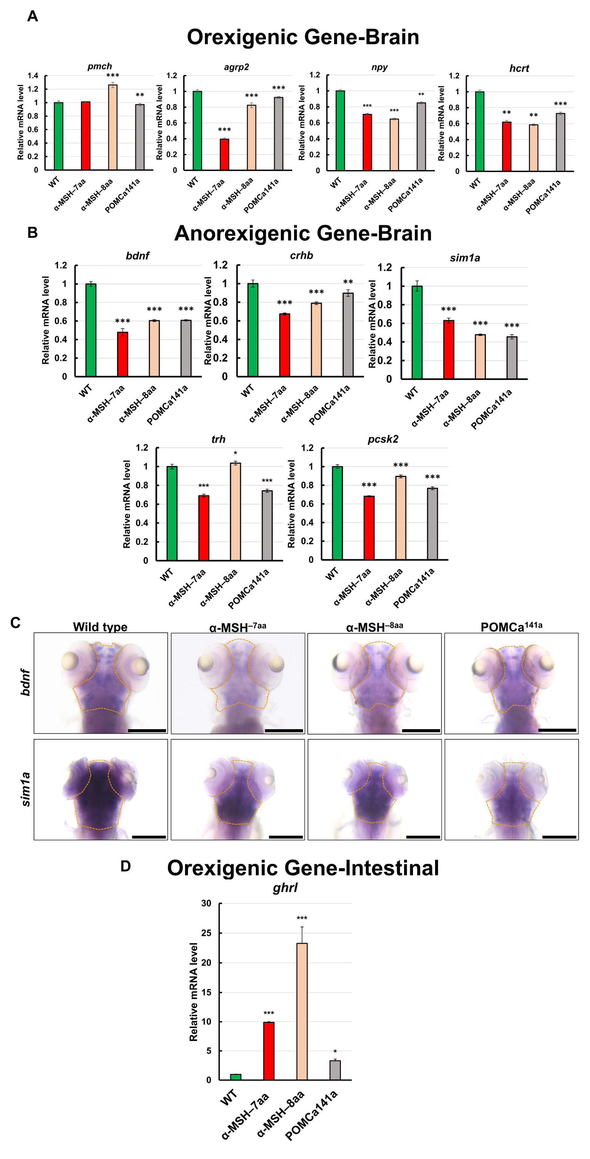 Biomedicines 09 00941 g005 Biomedicines 09 00941 g005