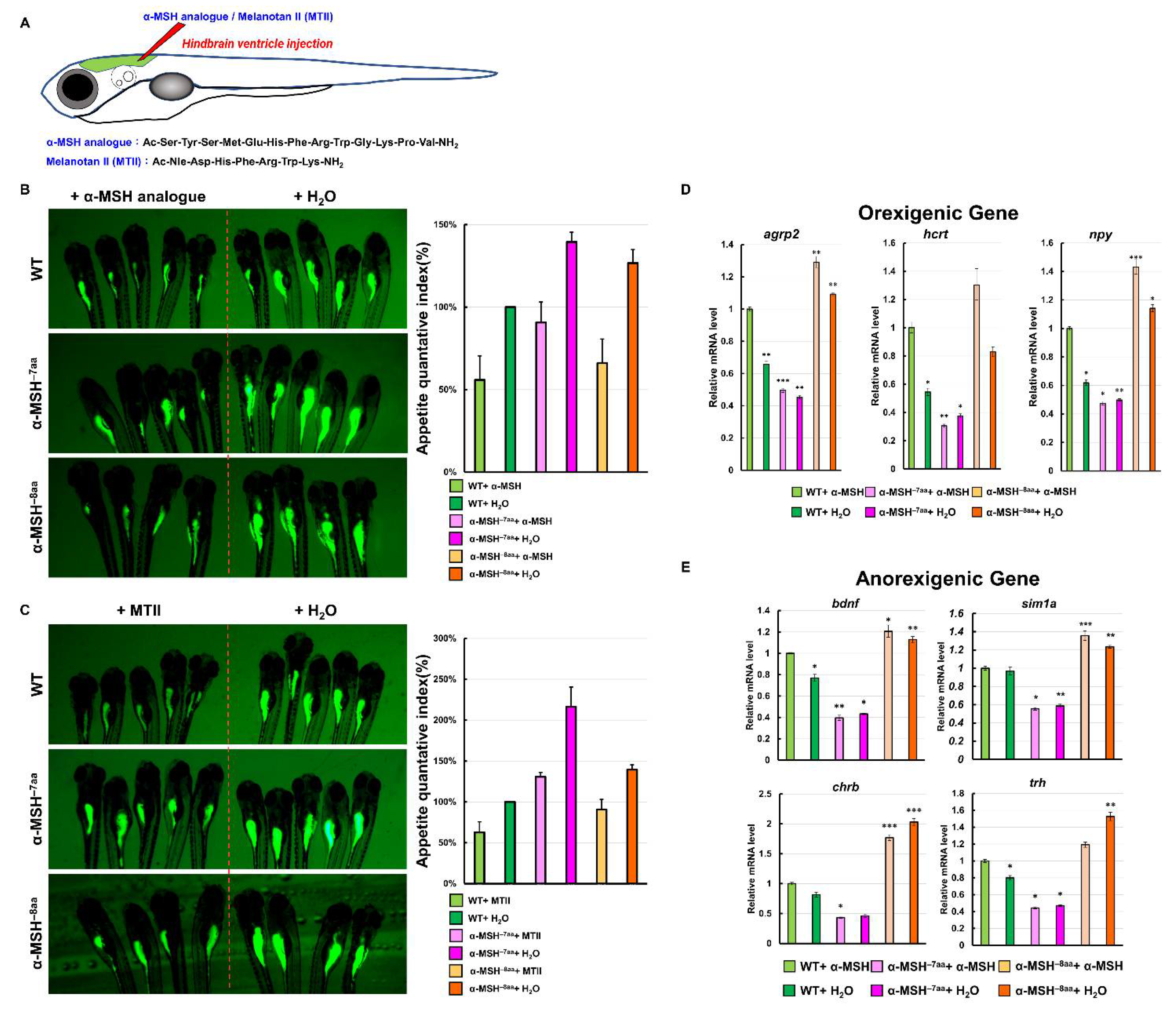 Biomedicines 09 00941 g006 Biomedicines 09 00941 g006