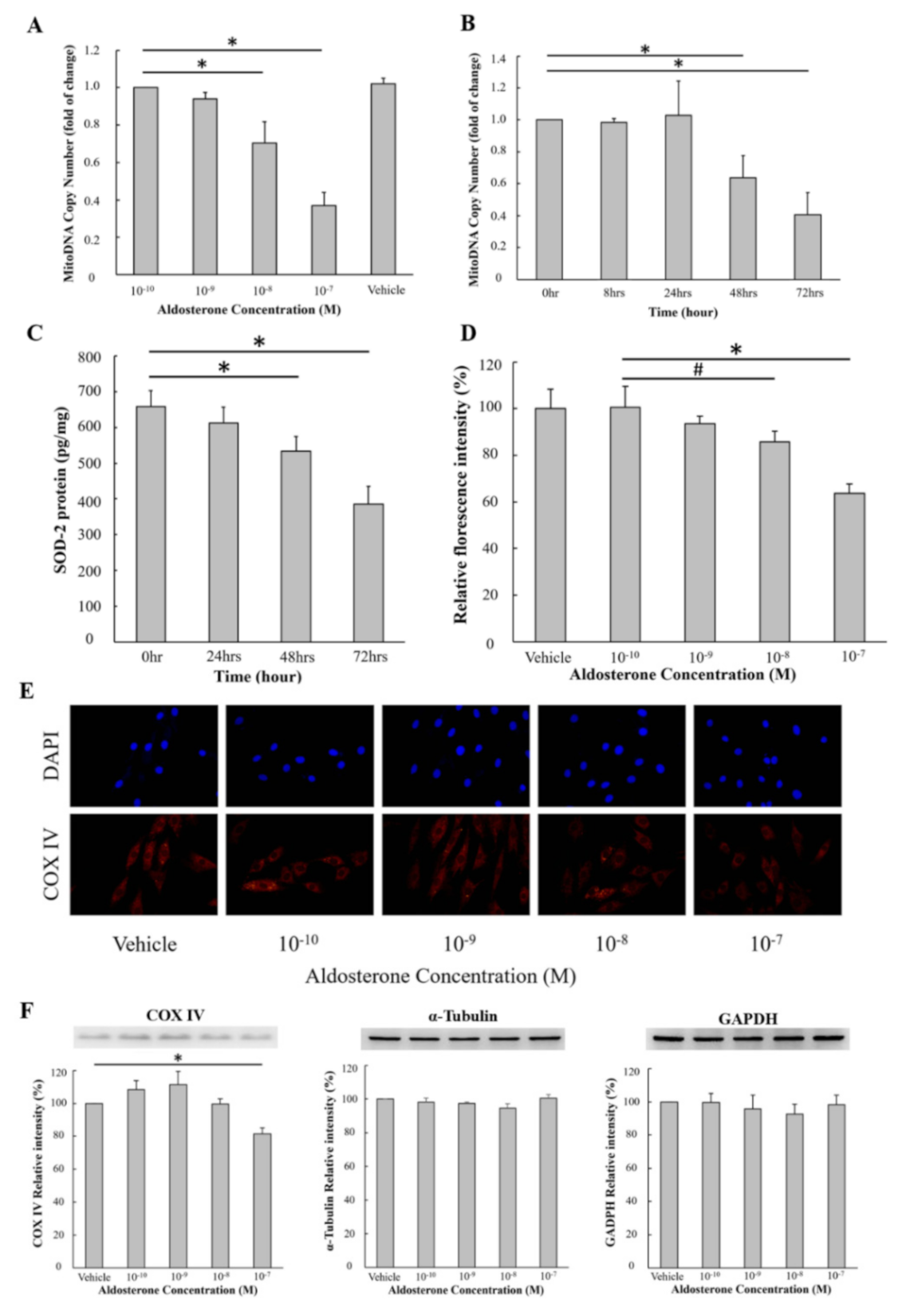 Biomedicines 09 00946 g001