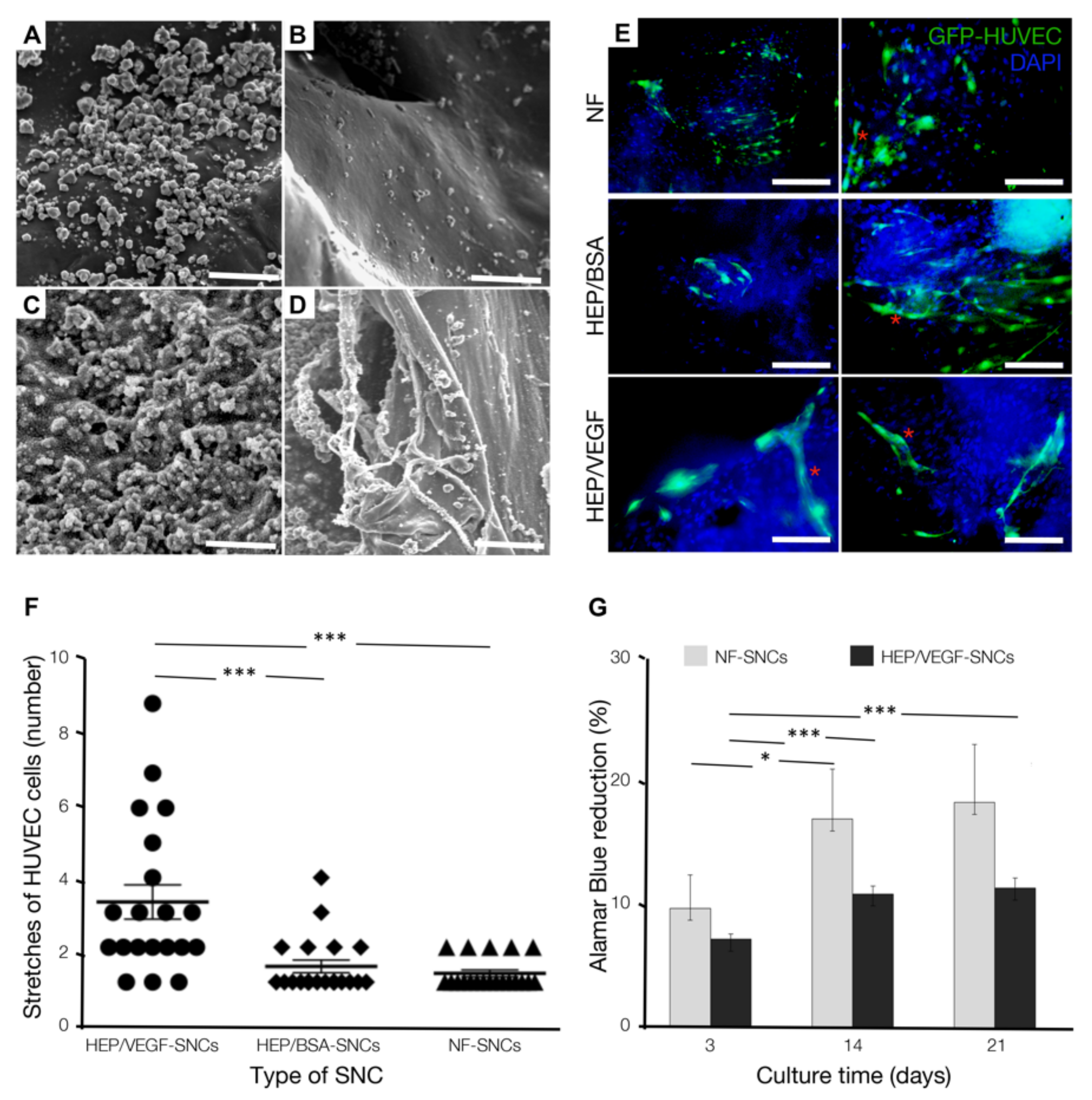 Biomedicines 09 00952 g002