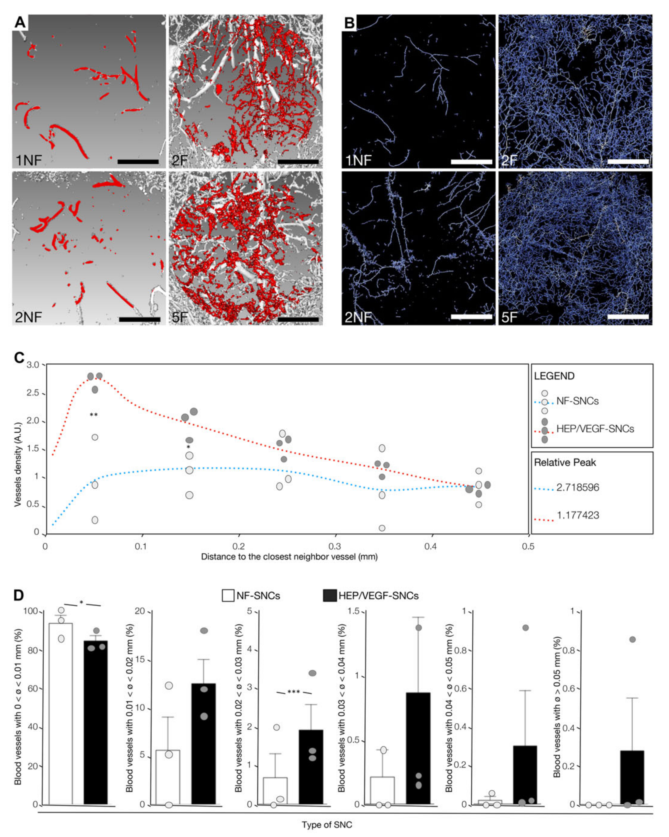 Biomedicines 09 00952 g005