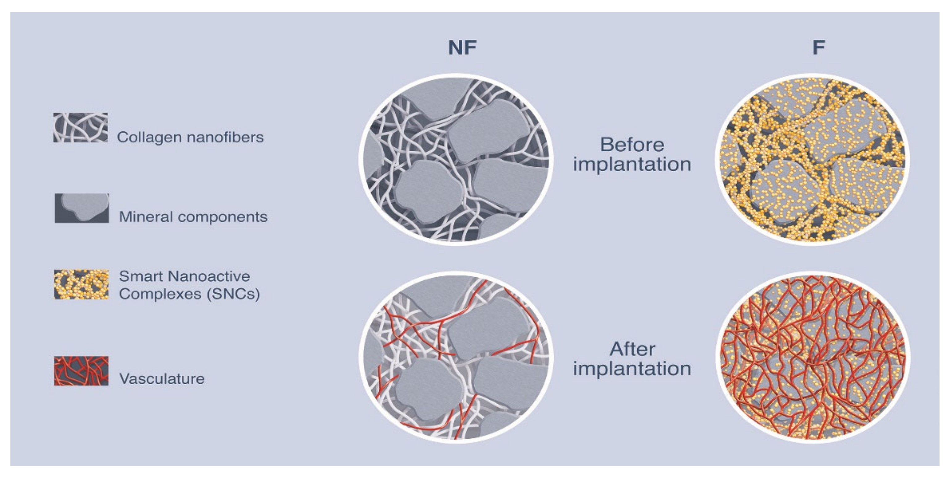 Biomedicines 09 00952 g006