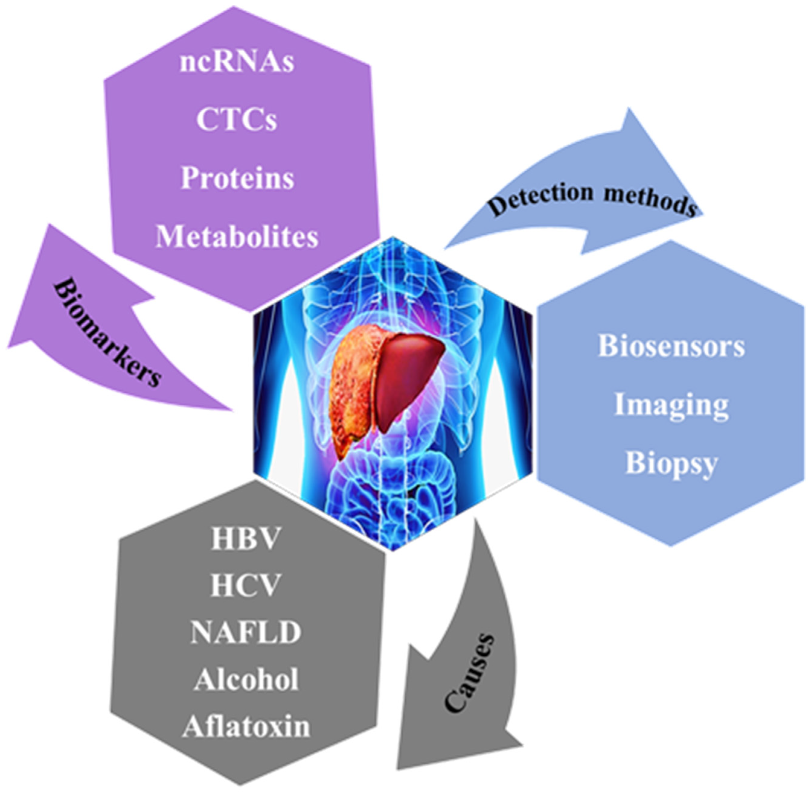 Biomedicines 09 00964 g001
