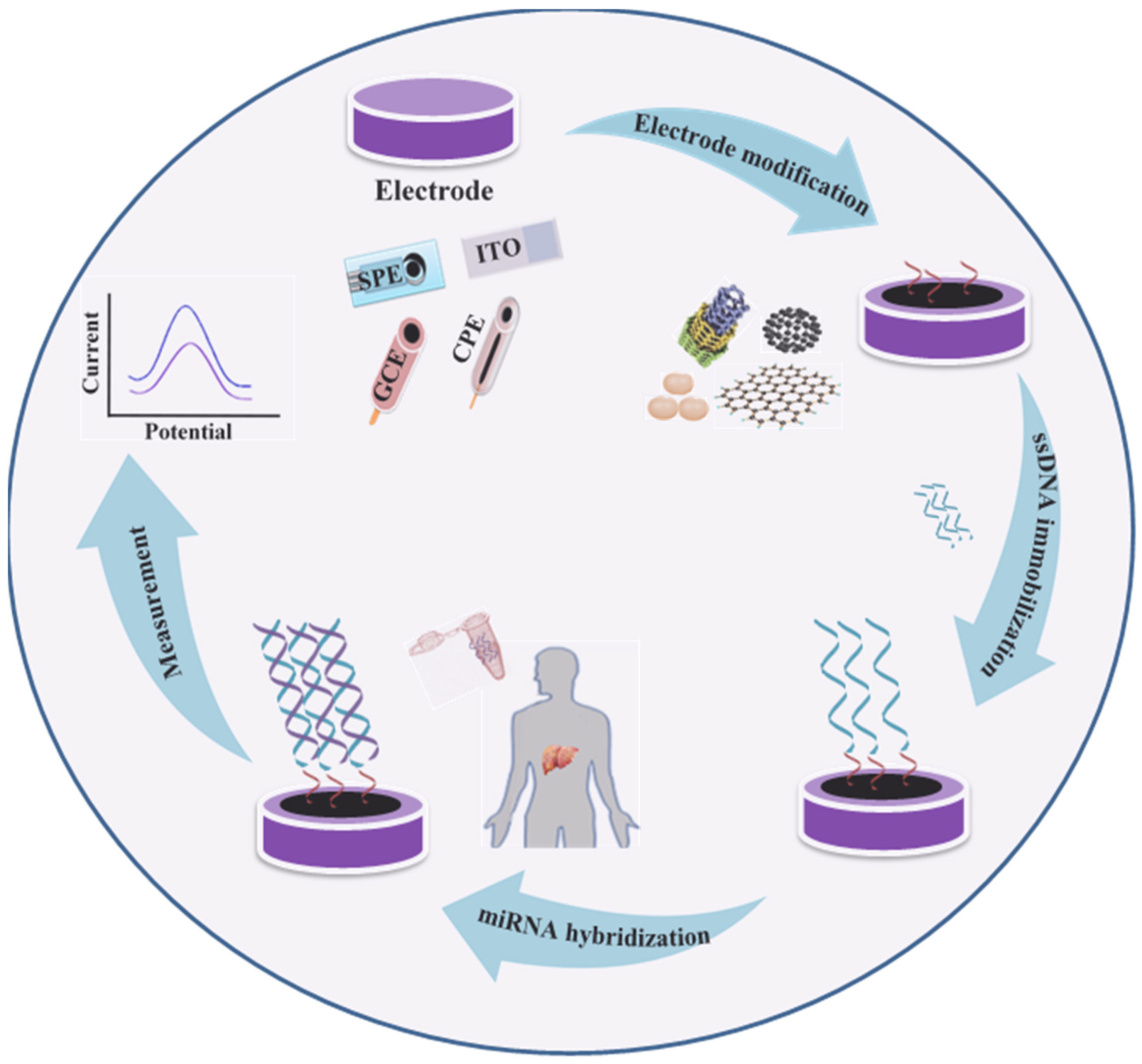 Biomedicines 09 00964 g002