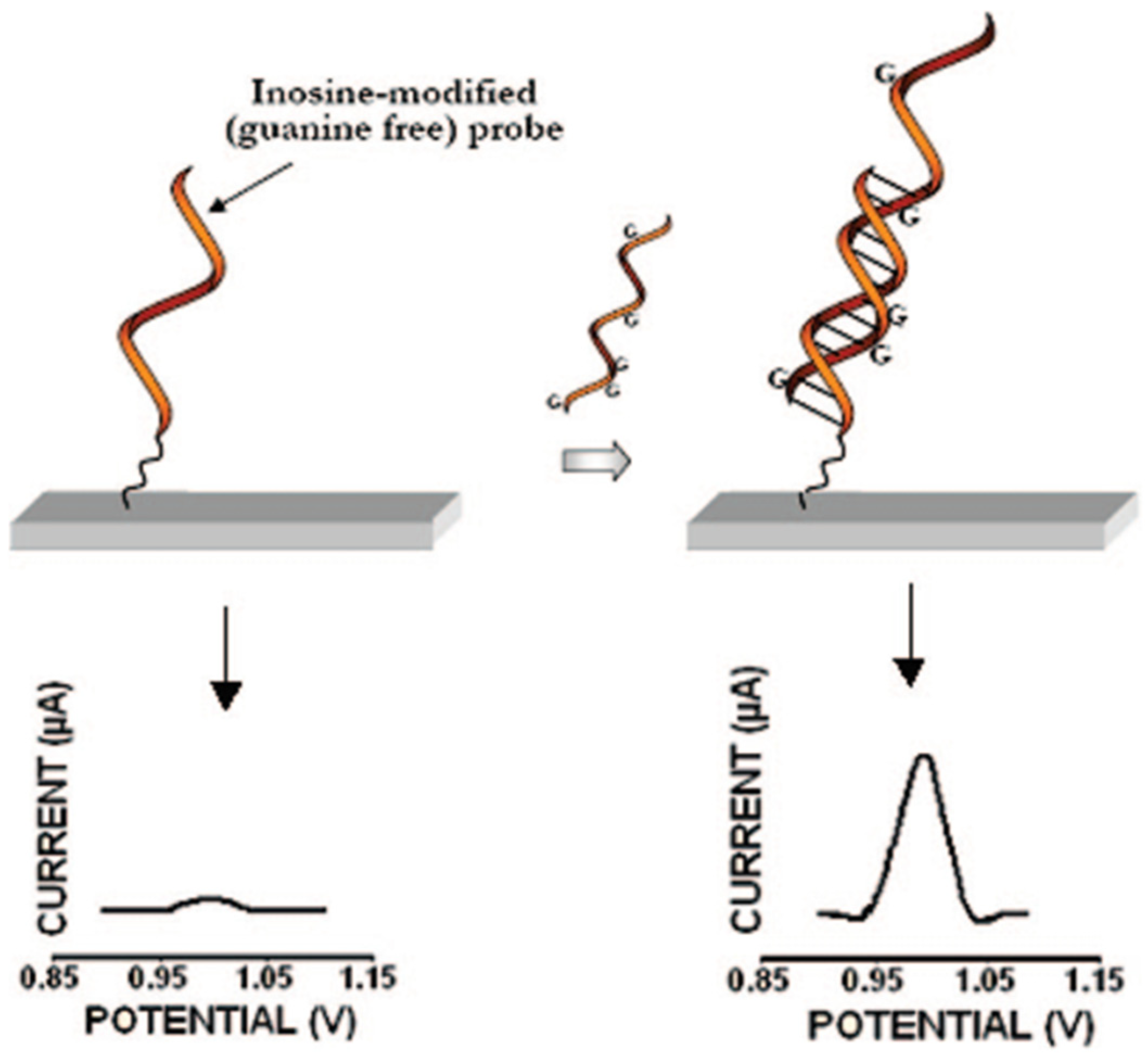 Biomedicines 09 00964 g004