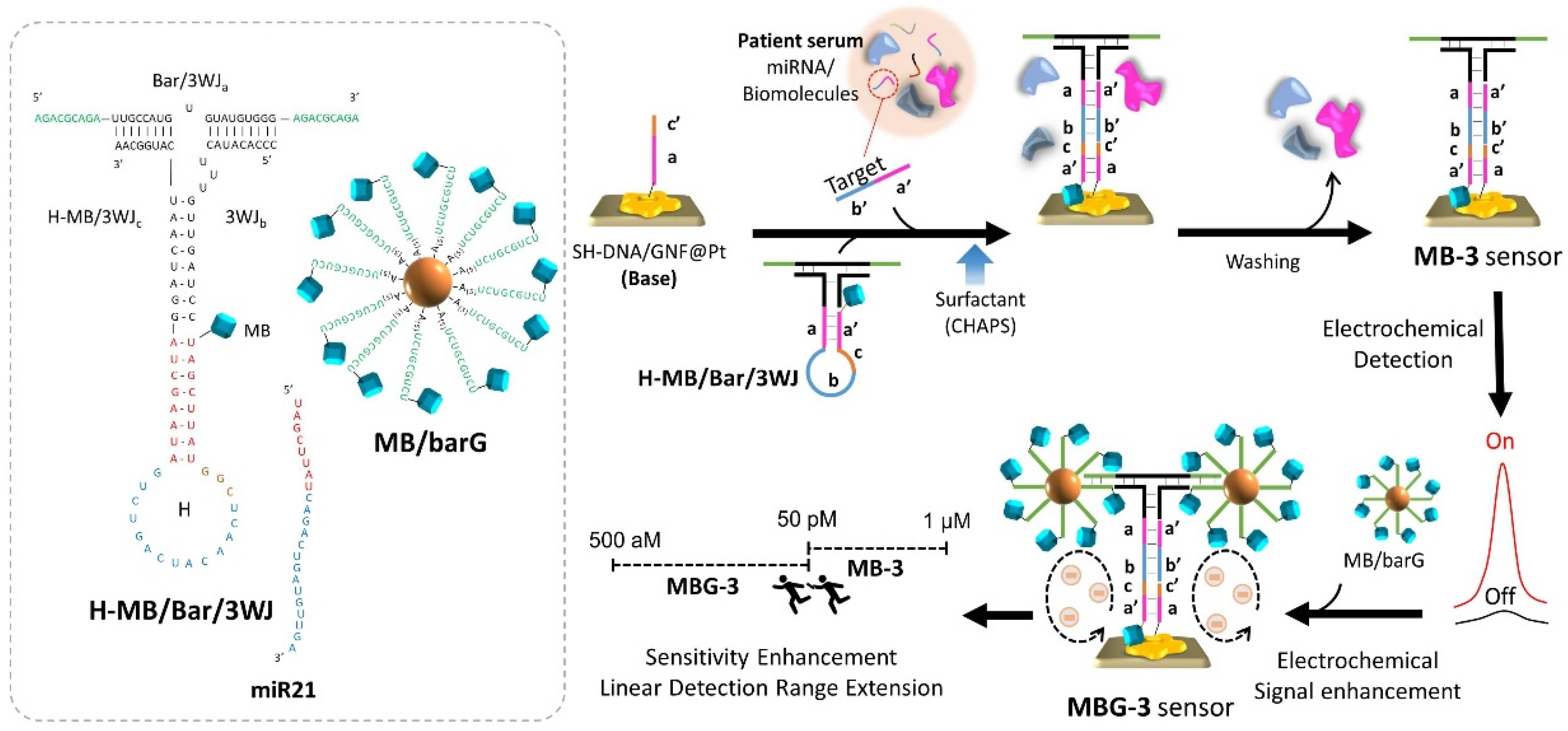 Biomedicines 09 00964 g005