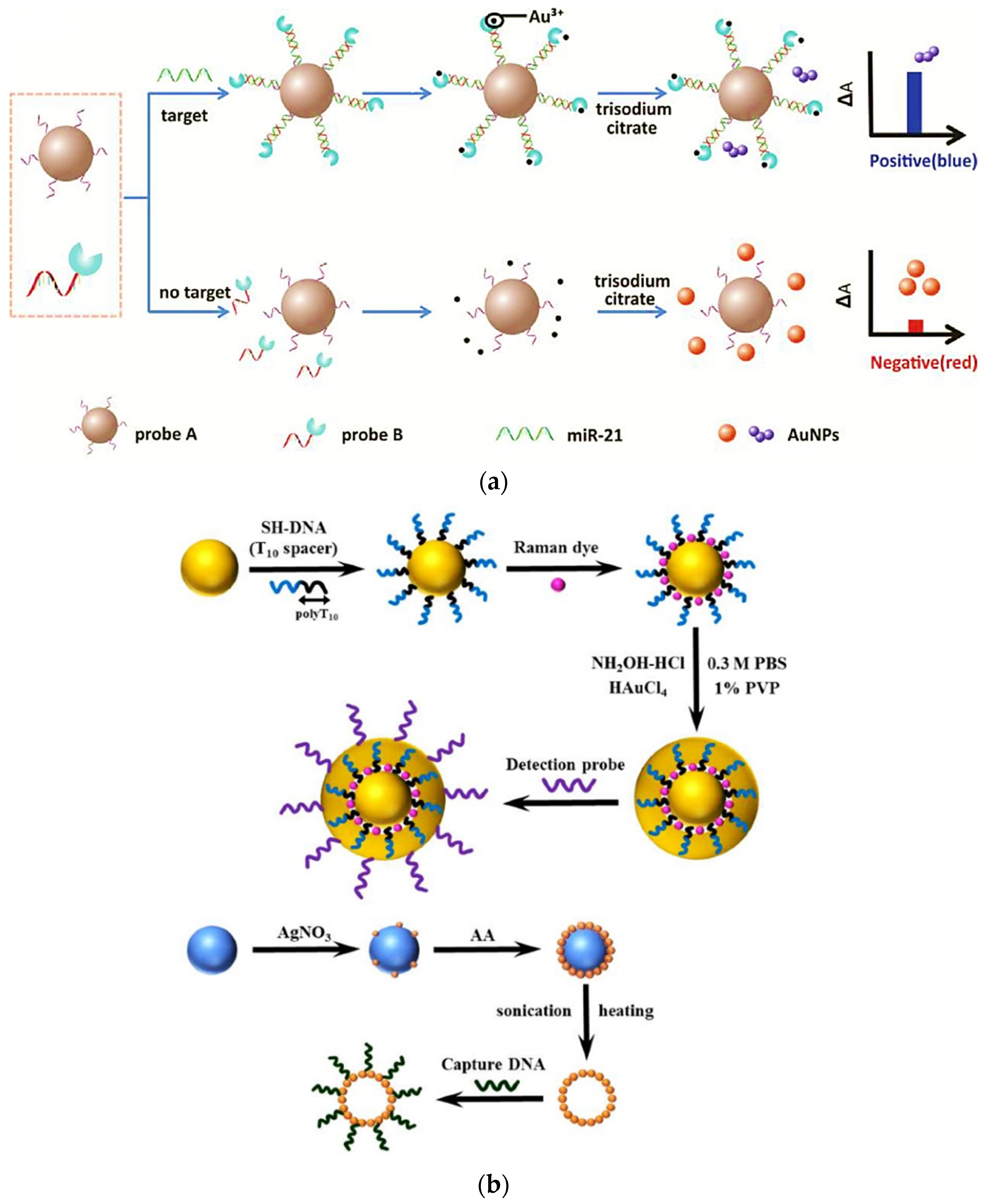 Biomedicines 09 00964 g007