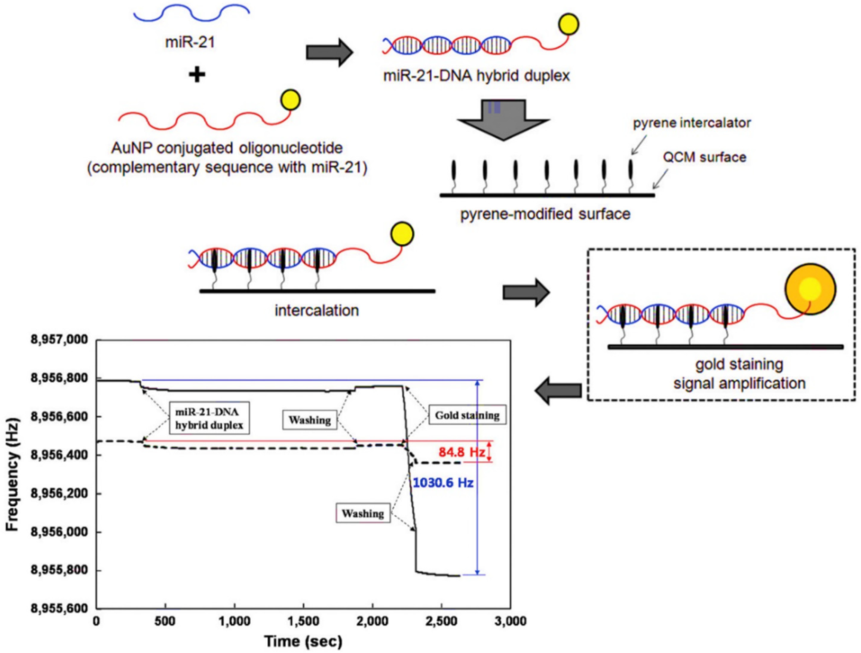 Biomedicines 09 00964 g008