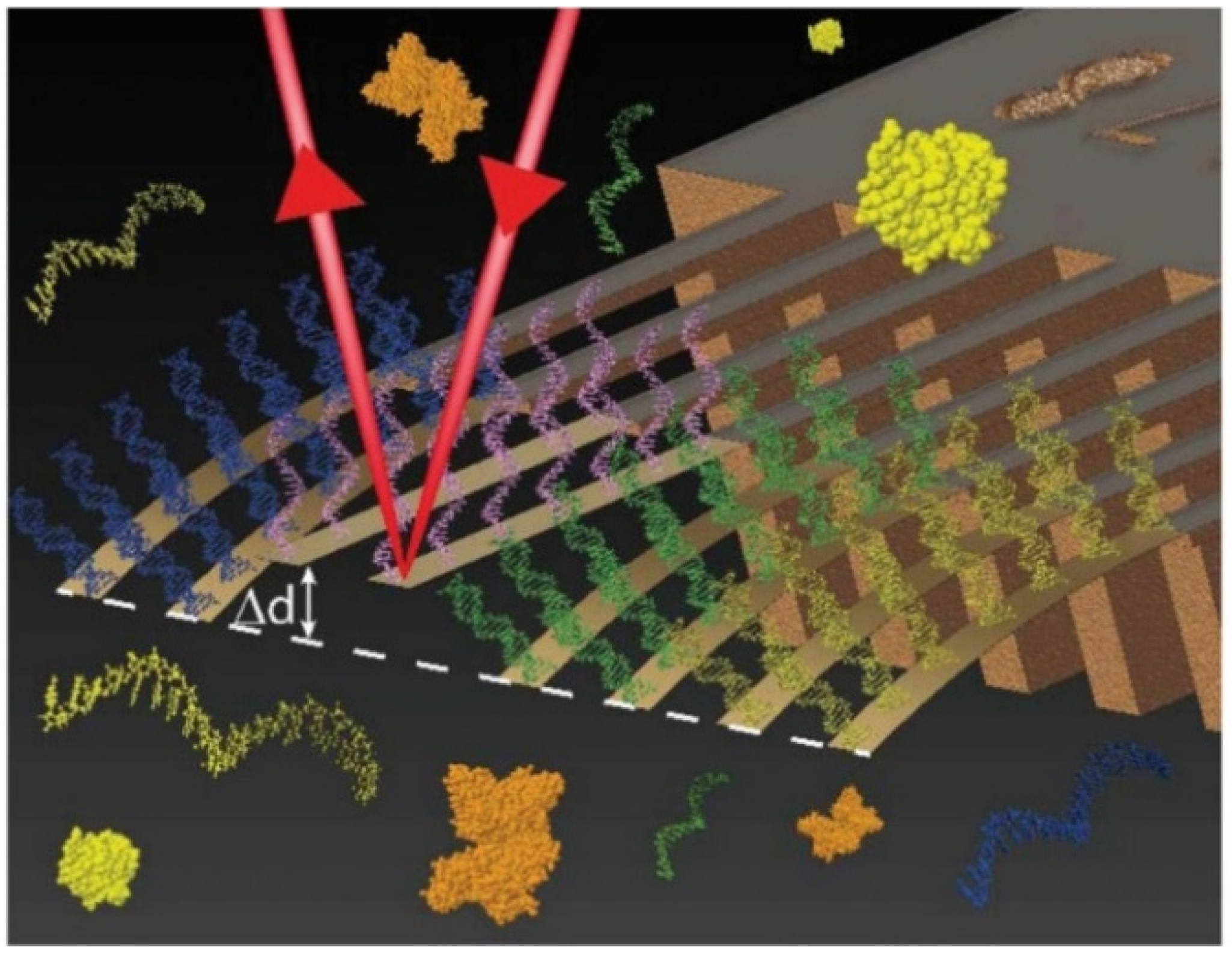 Biomedicines 09 00964 g009