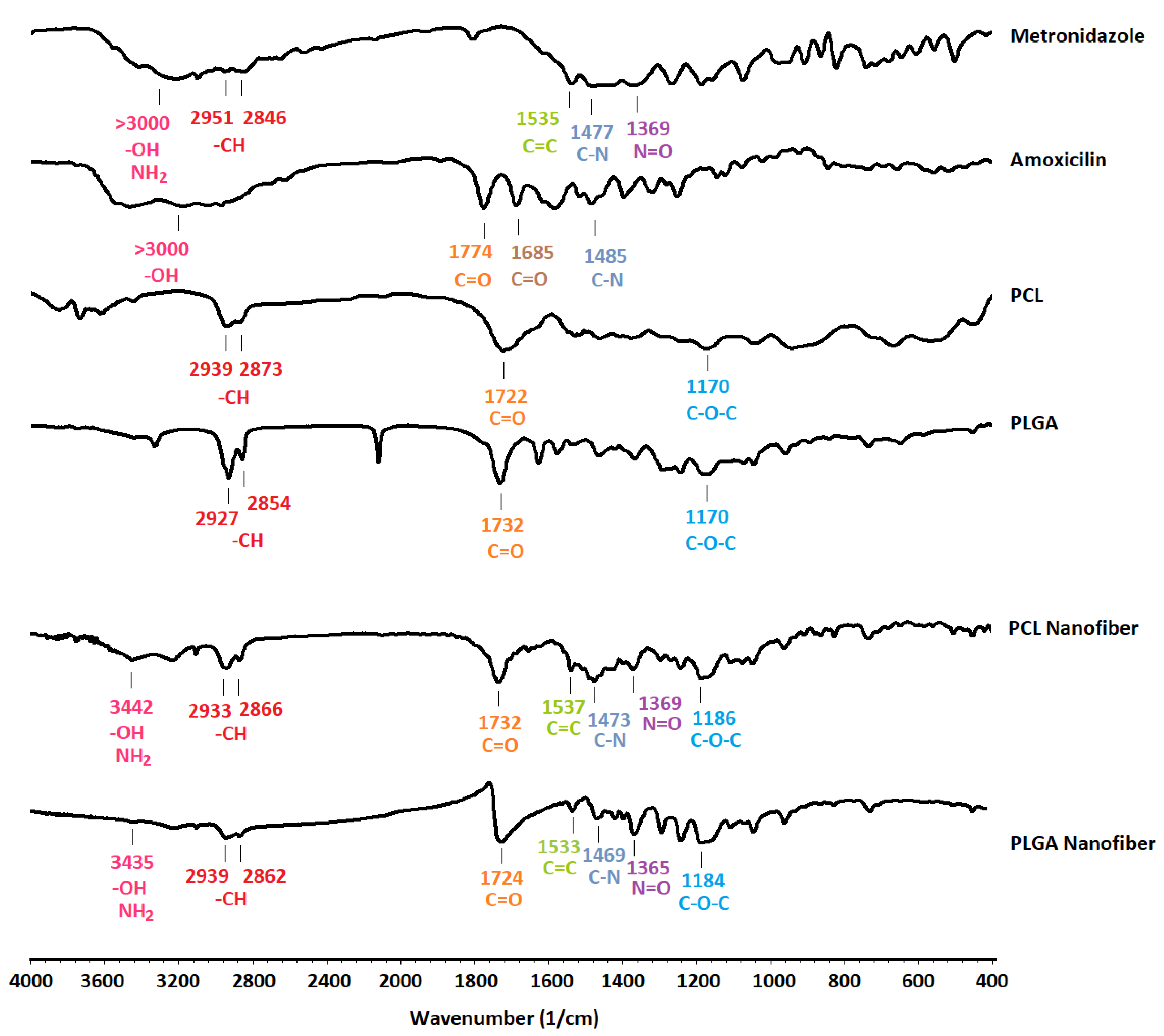 Biomedicines 09 00975 g002