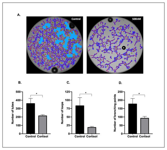 Biomedicines 09 00980 g0a1