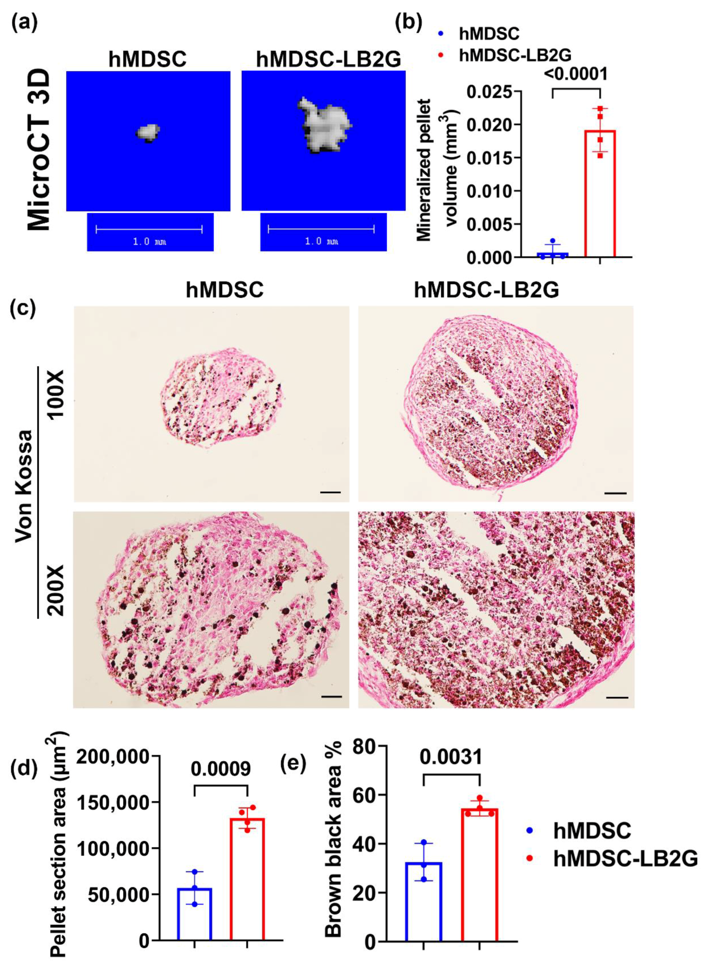 Biomedicines 09 00983 g001