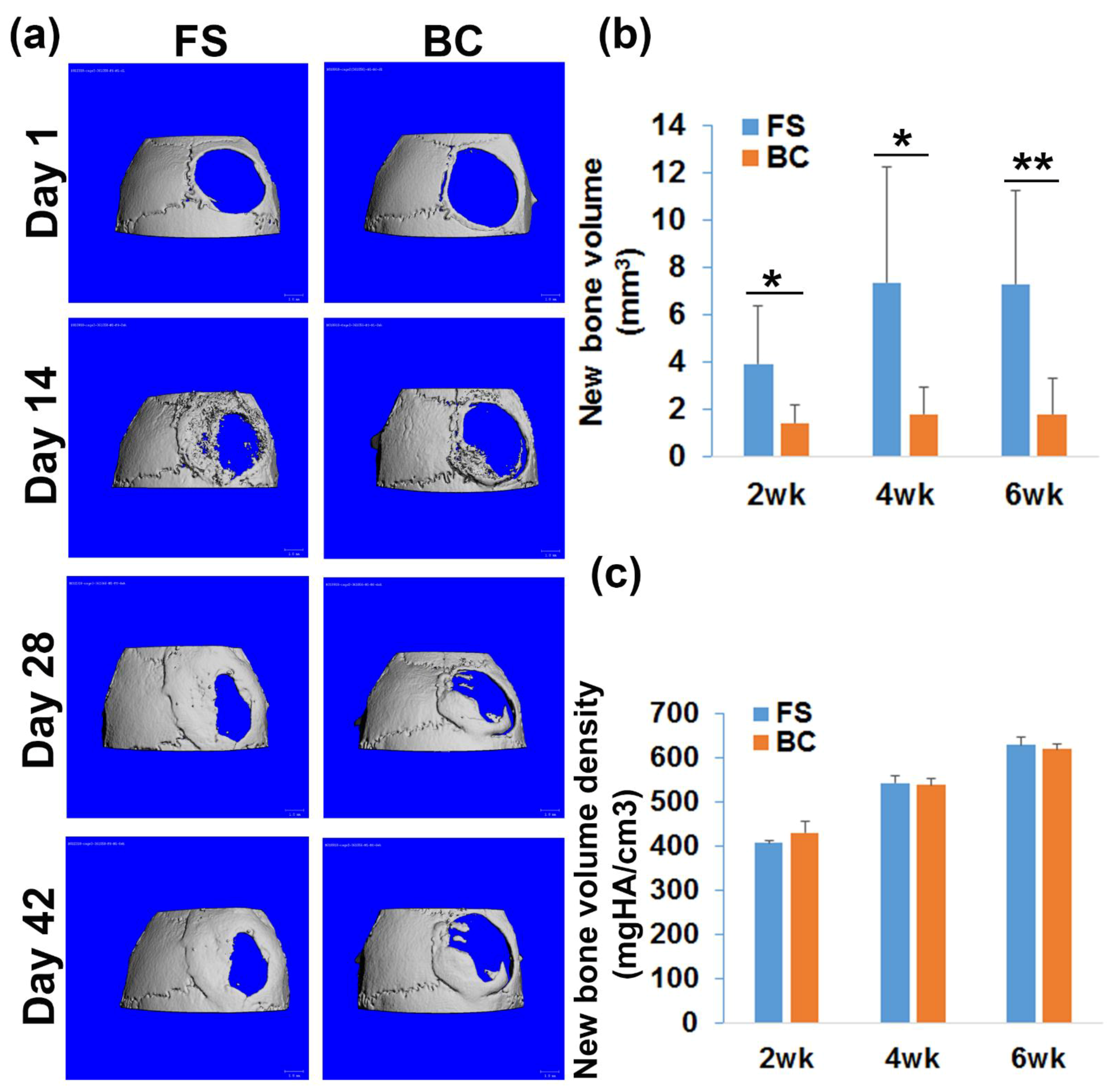 Biomedicines 09 00983 g003