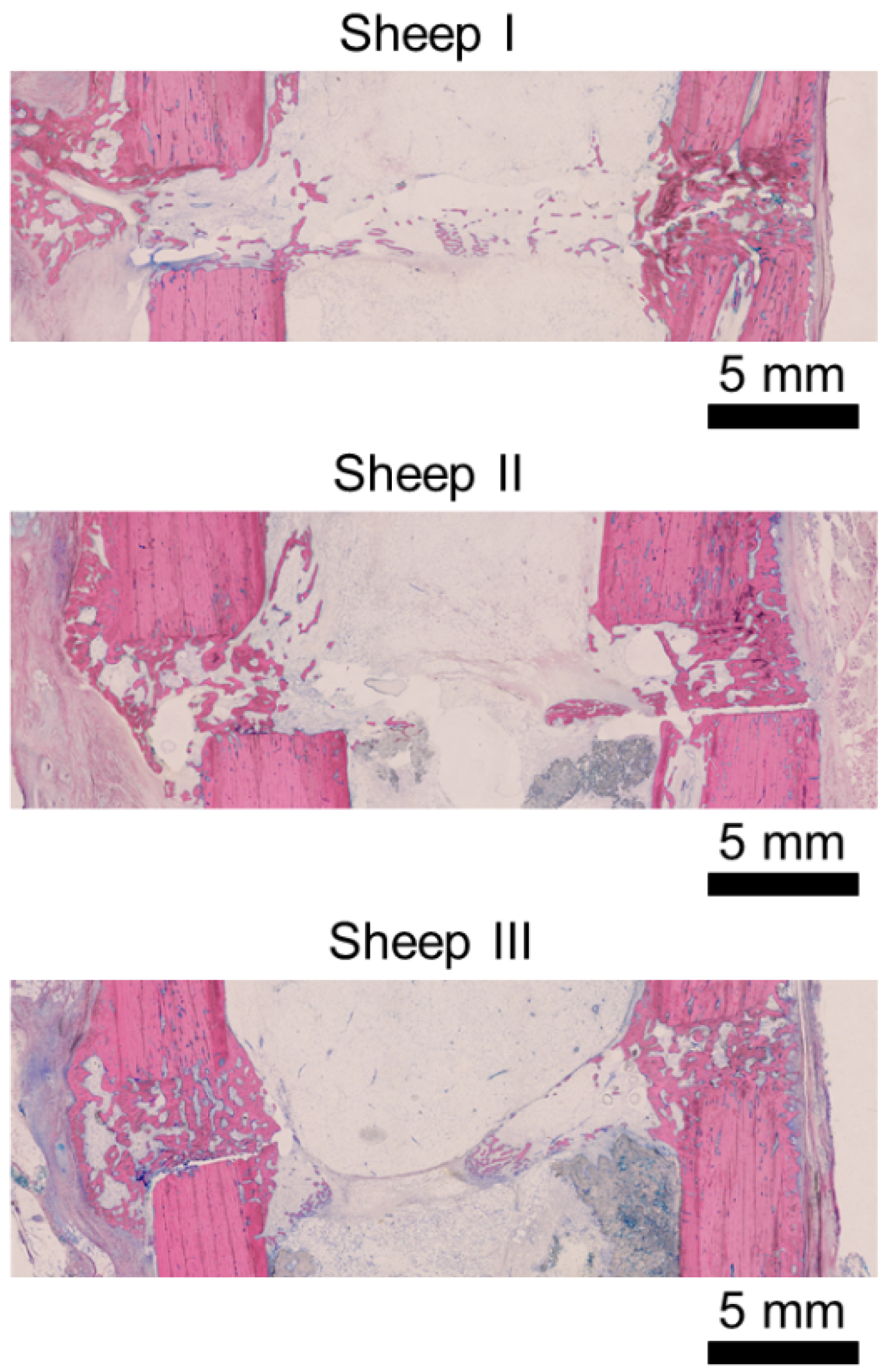 Biomedicines 09 00988 g003 Biomedicines 09 00988 g003